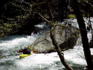 Upper Big Creek