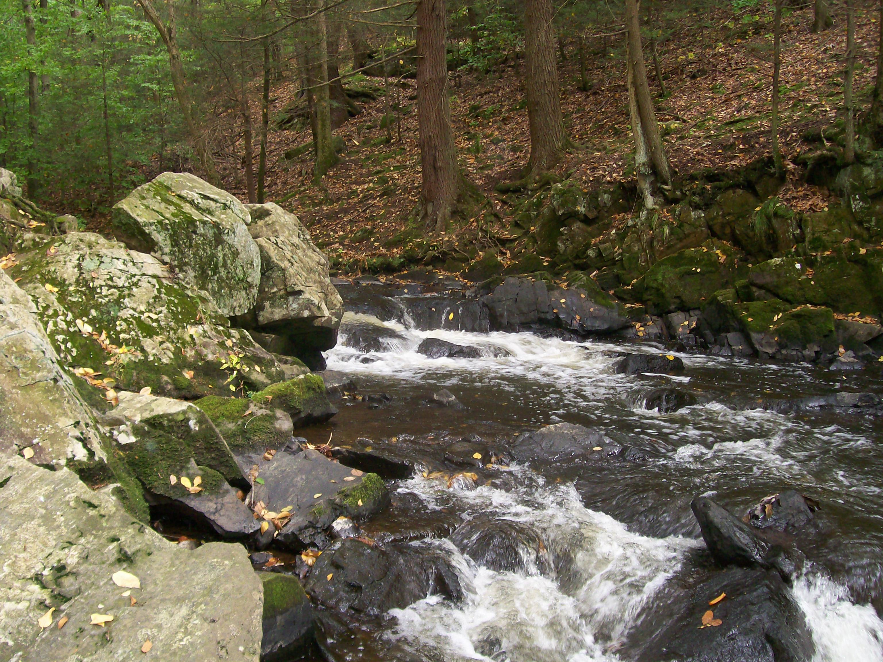 Picnic Rapid