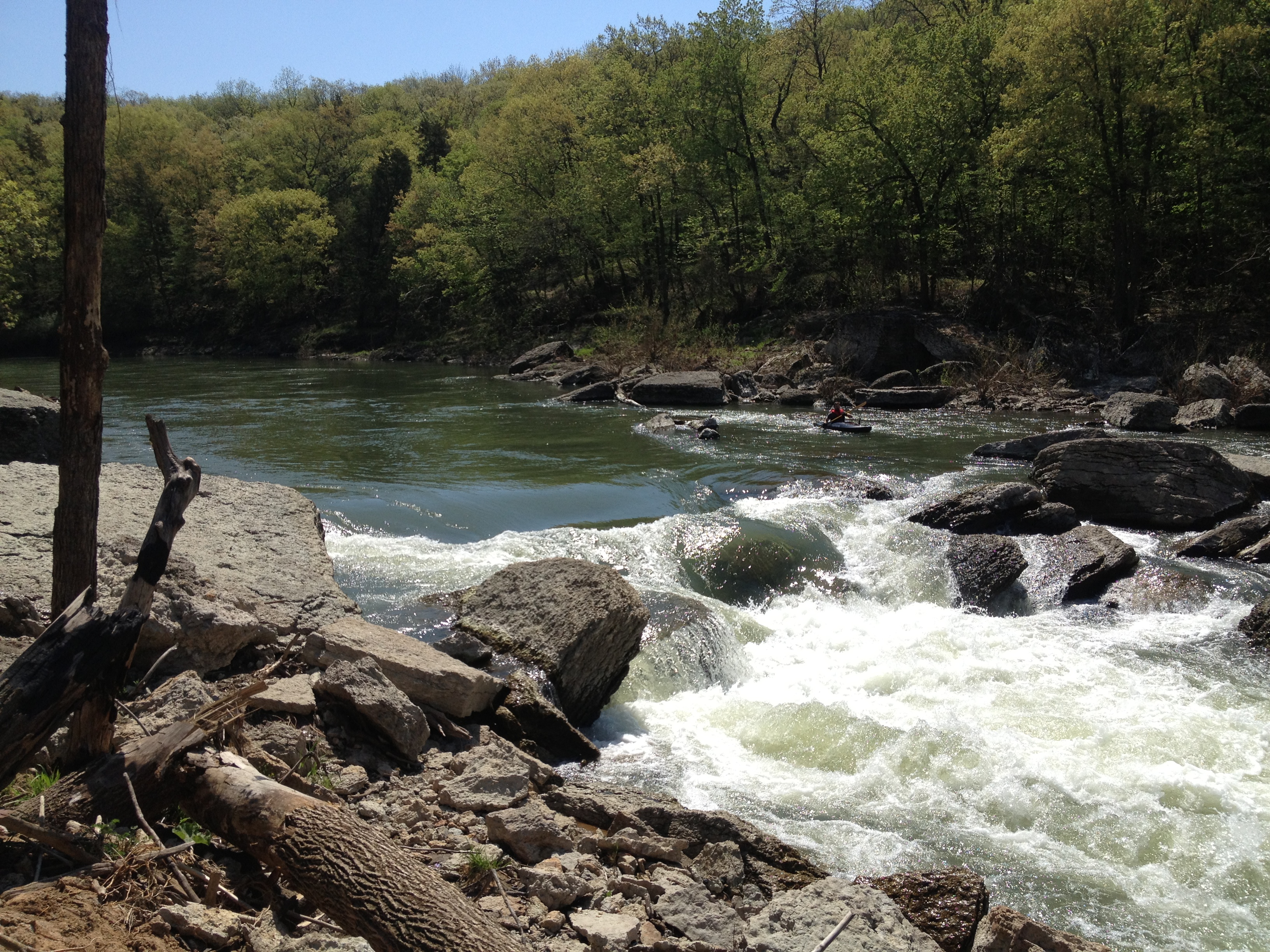 Wildcat at 786 CFS in Spring