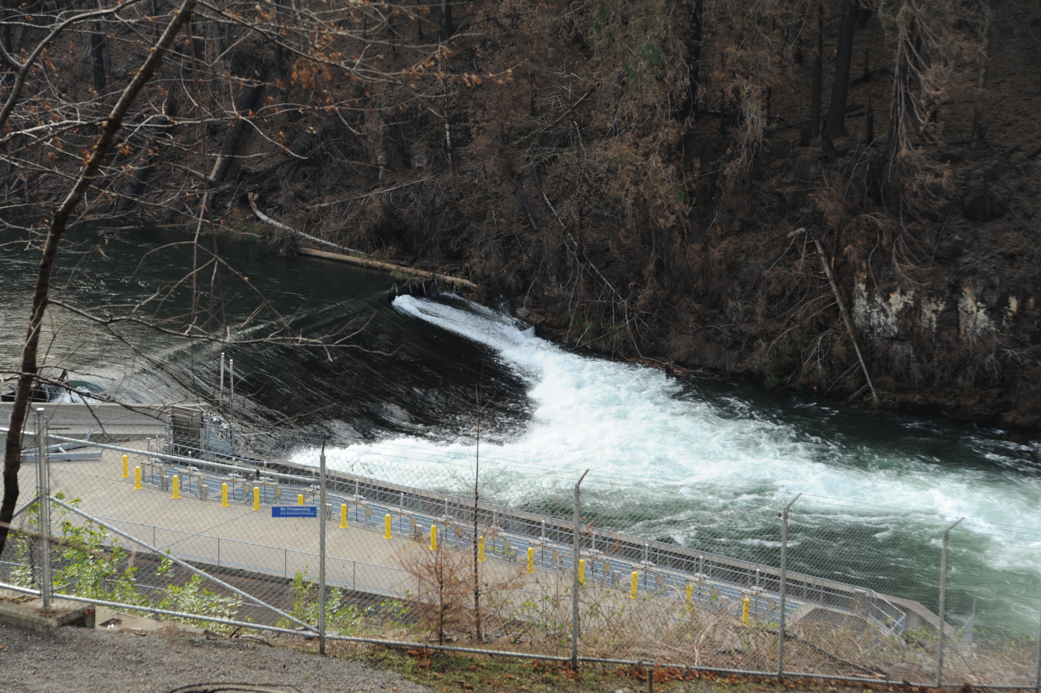 Minto Dam