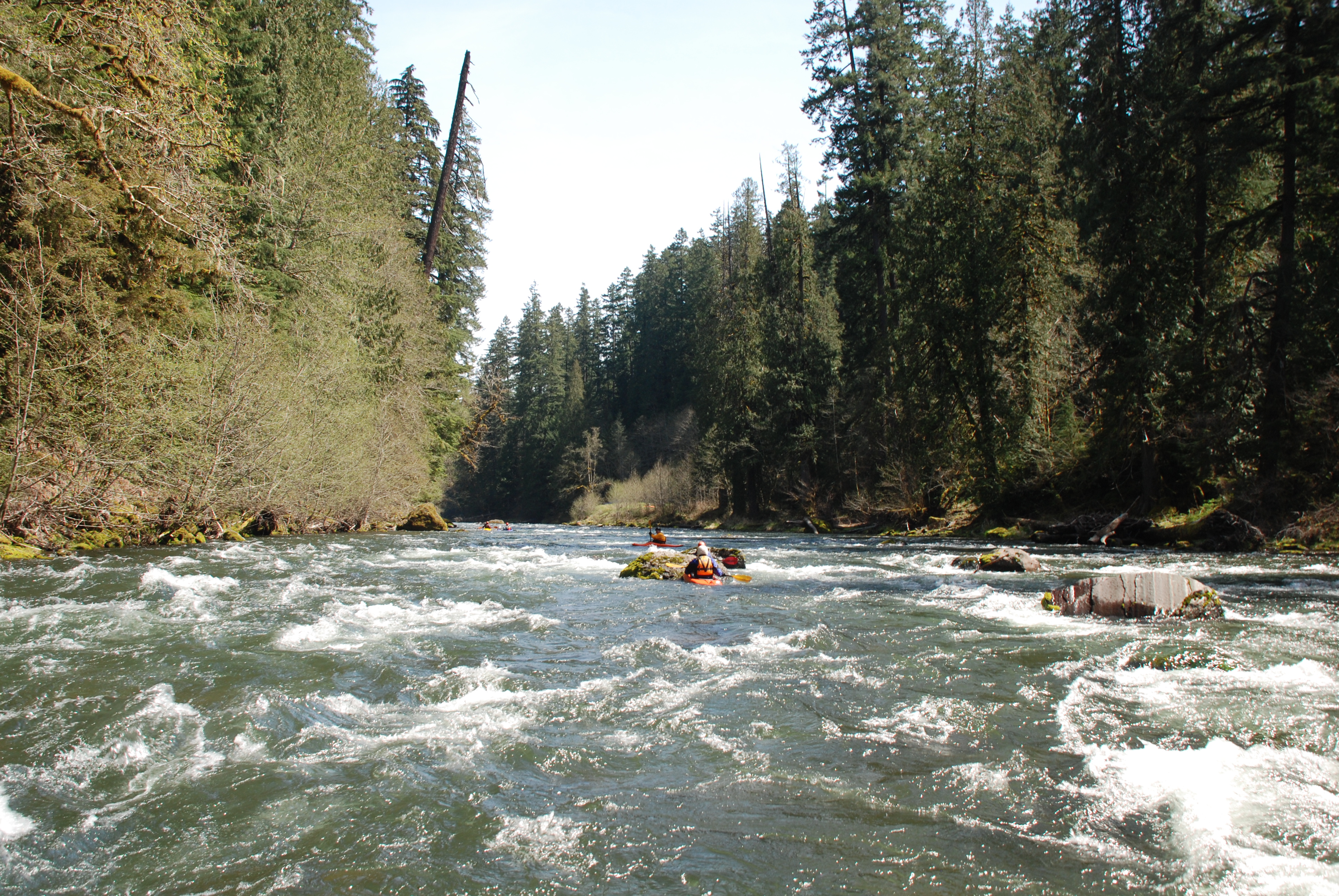 First Iron Creek Rapid
