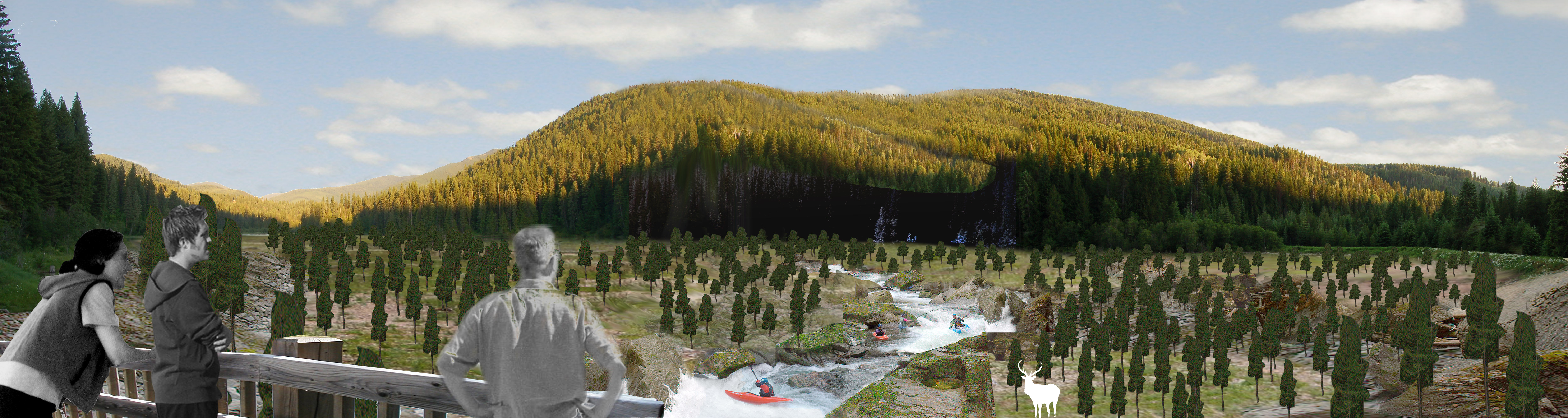 Millpond Dam Site 5 Years Following Dam Removal