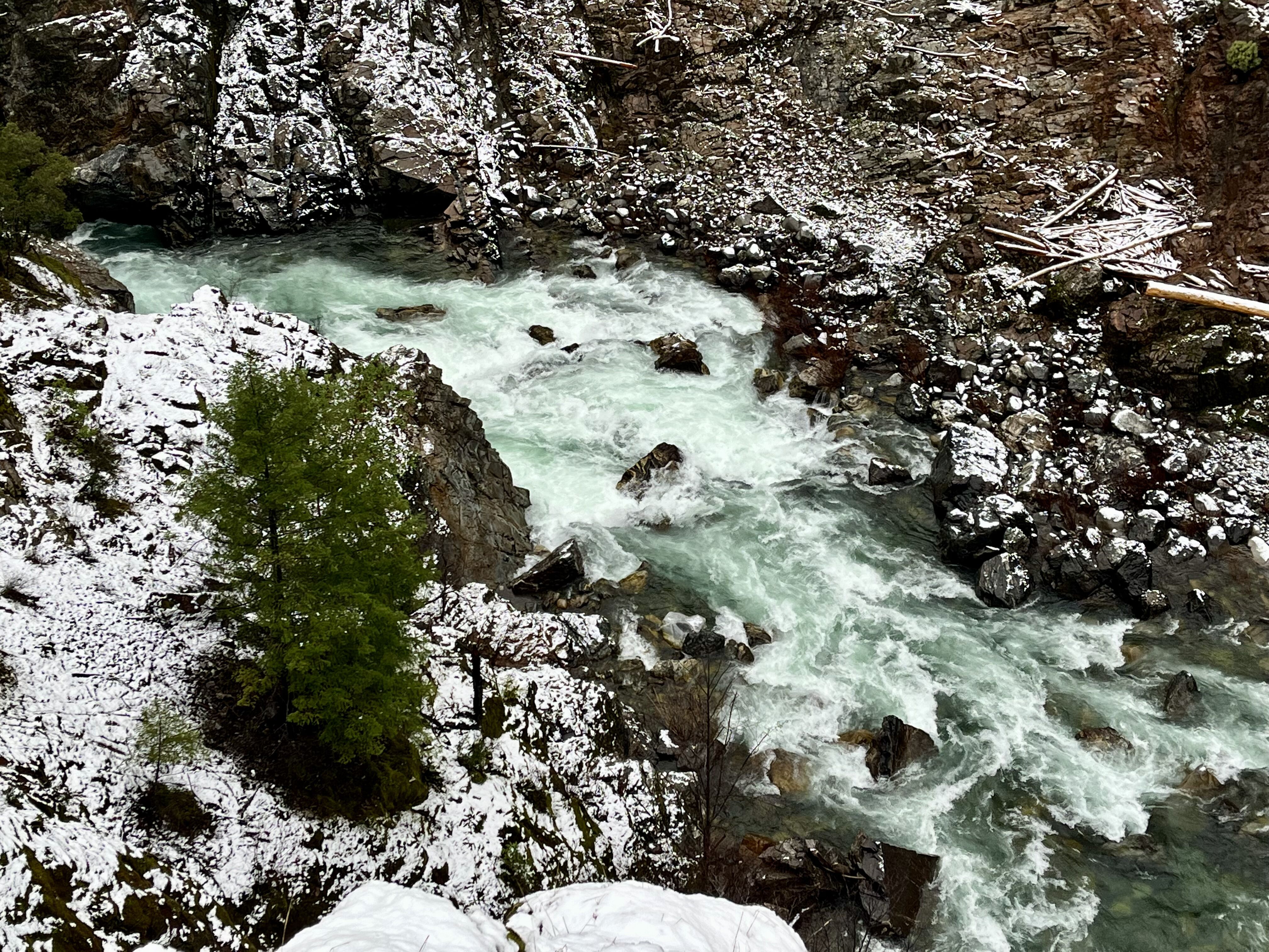 Freight Train Rapid at 1200 cfs