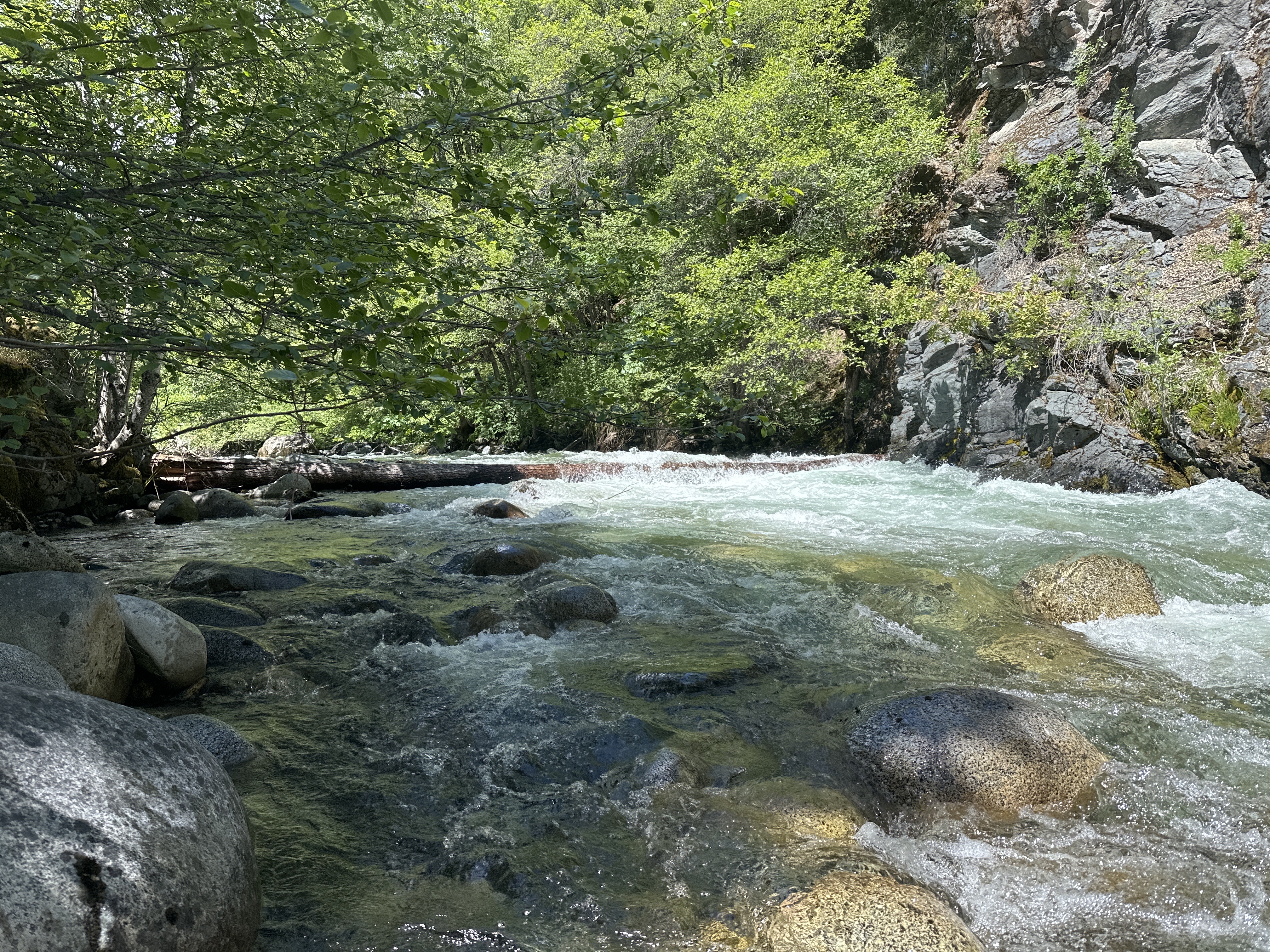 River wide strainer
