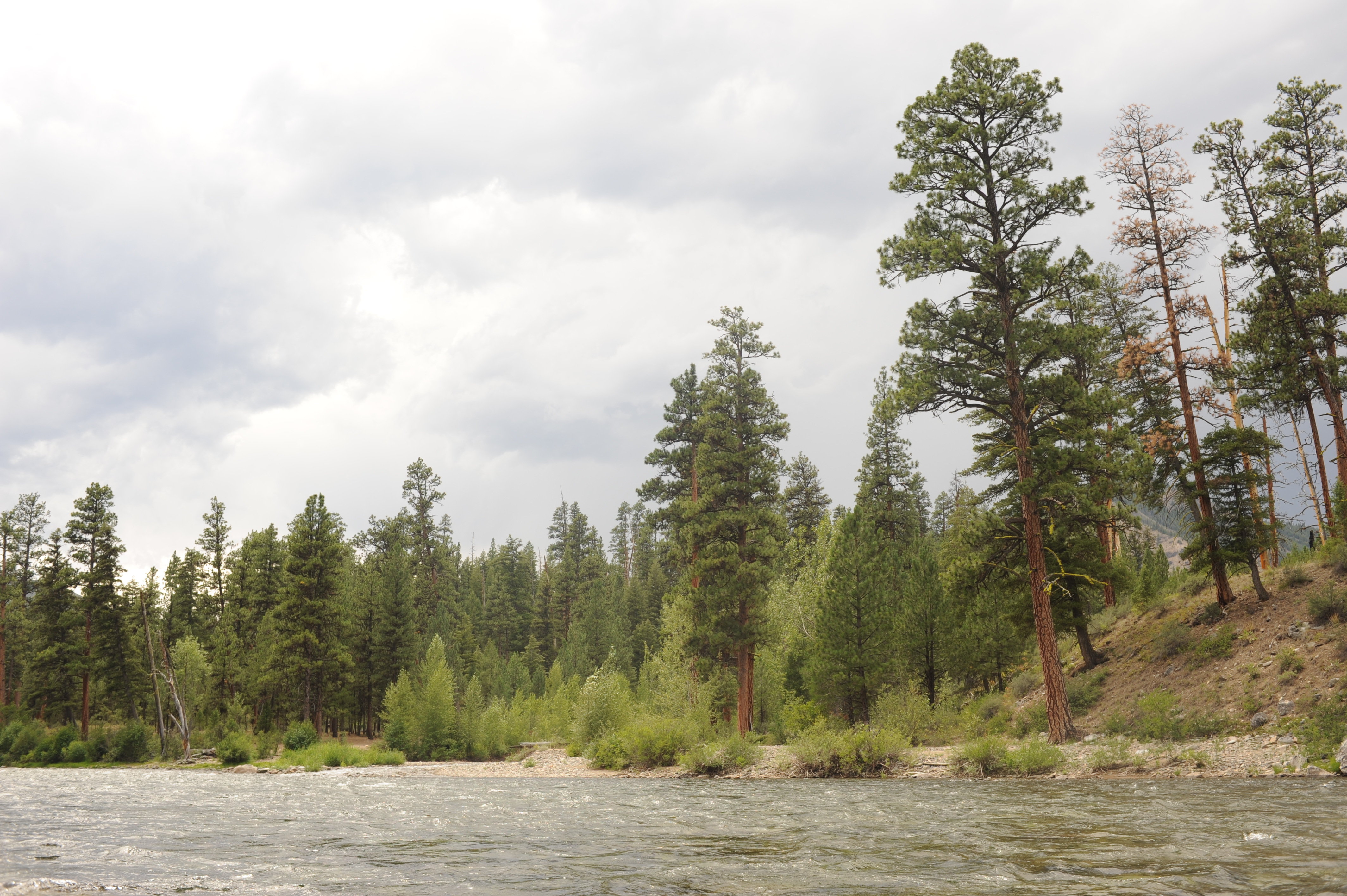 Indian Creek Camp (RL)