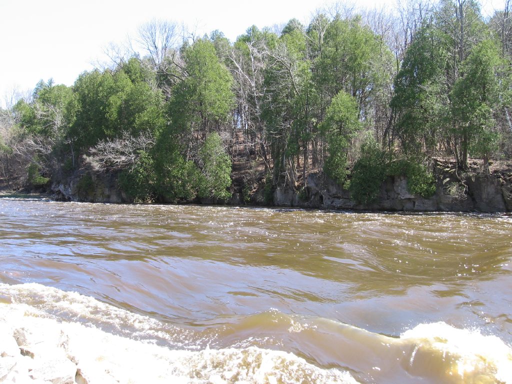 View of river-left shore approach to Falls Road