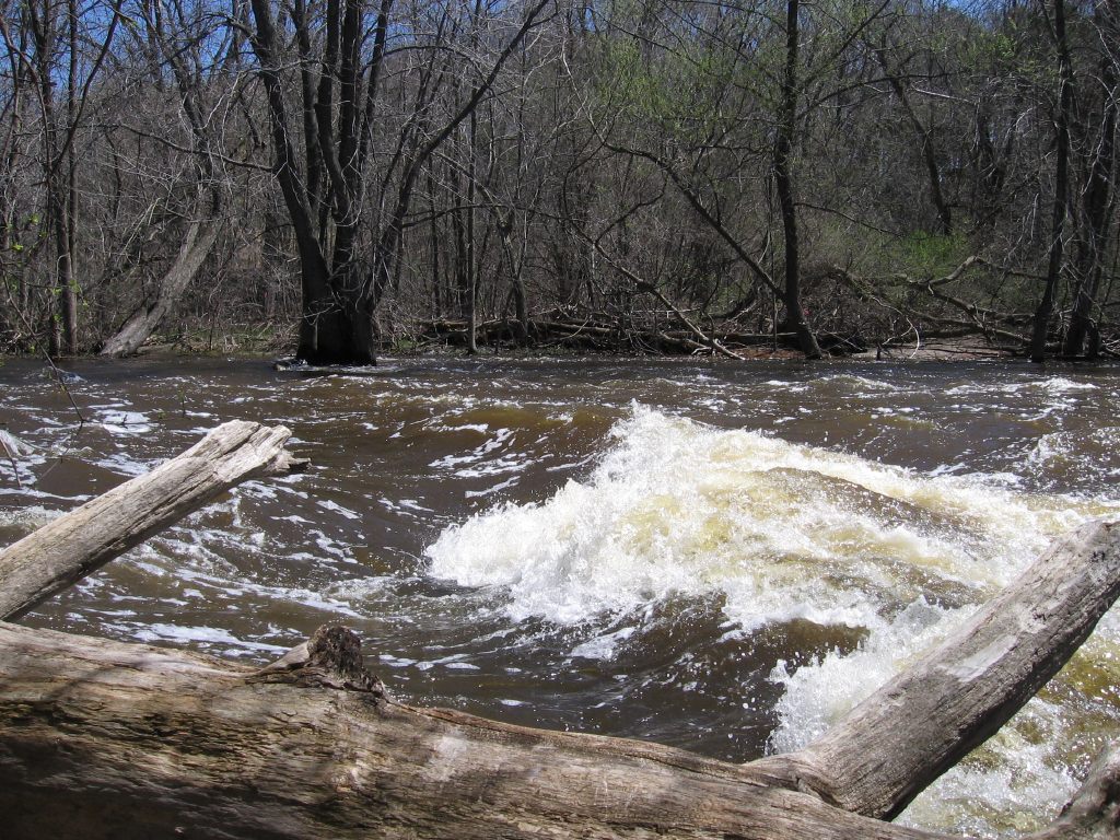 Lime Kiln Park Ledge/Wave (LKPWave)