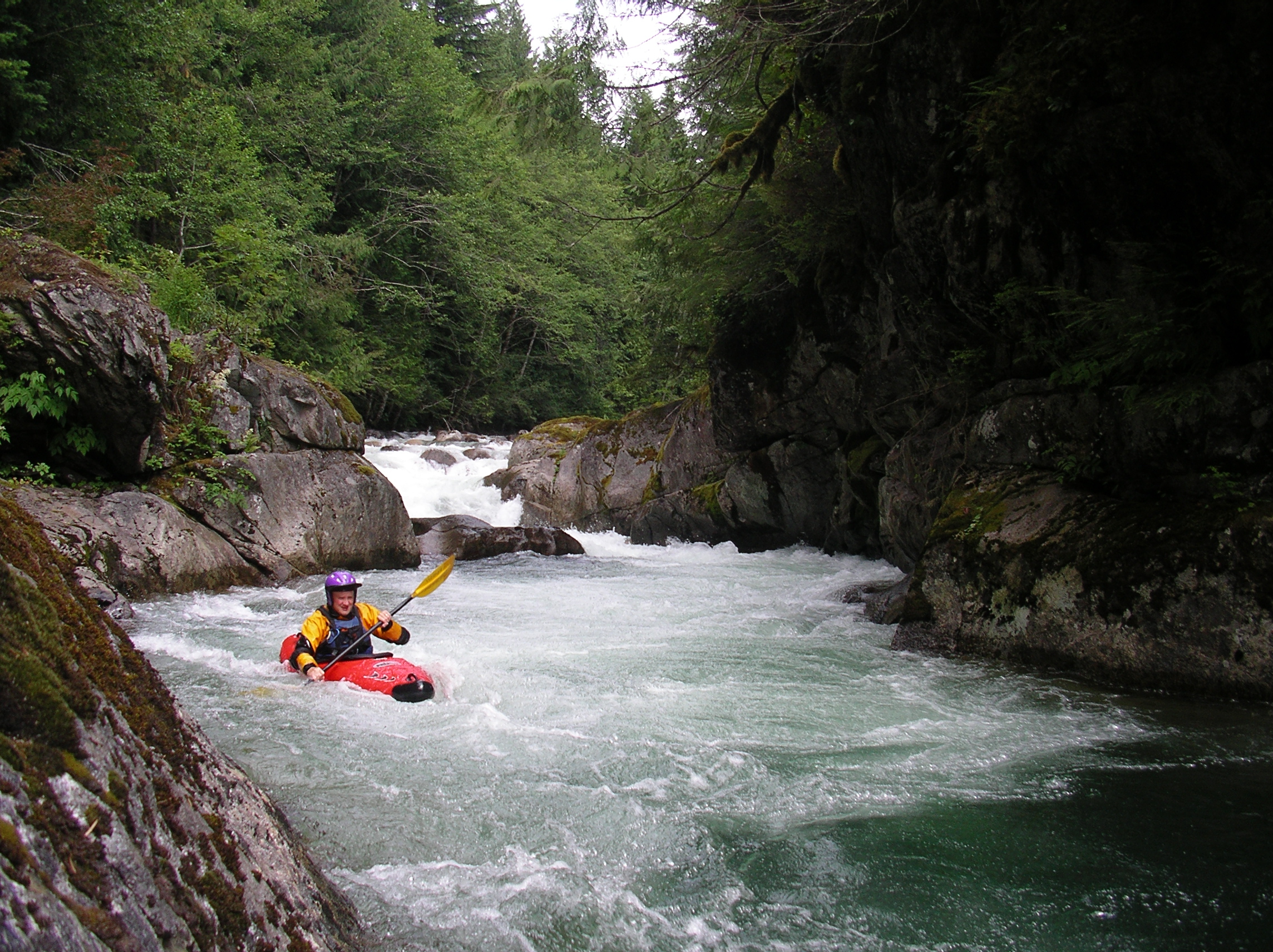Final Rapid
