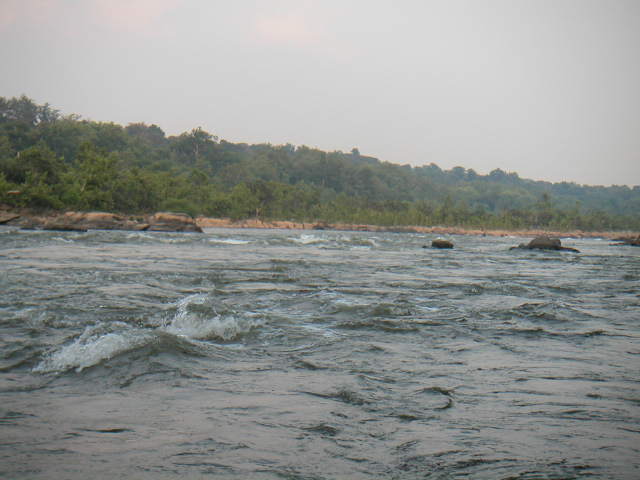 Wave trains