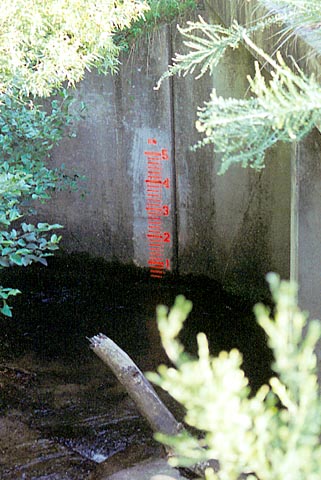 (RM) Yellow Creek Gage