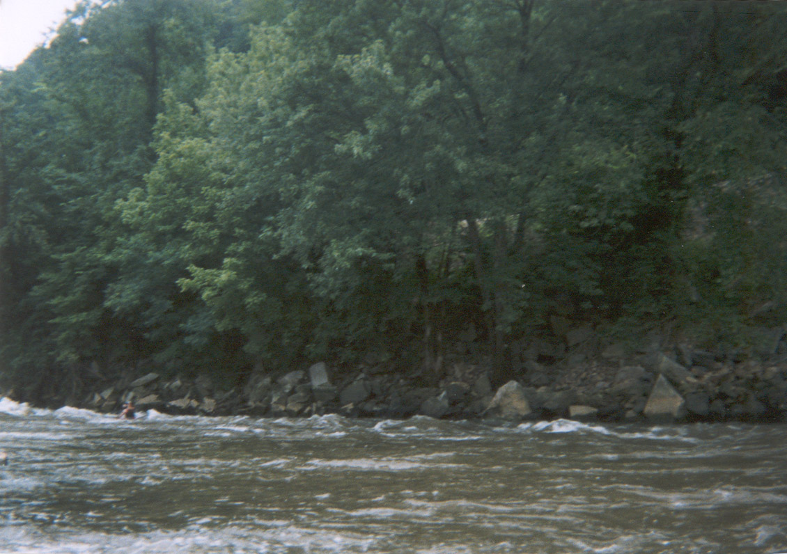 Milky Way Rapid