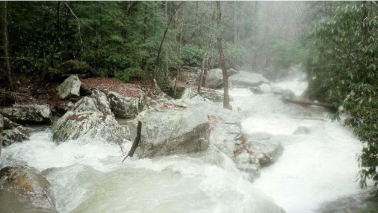 The "Snake", a class 5 on Bark Camp Creek