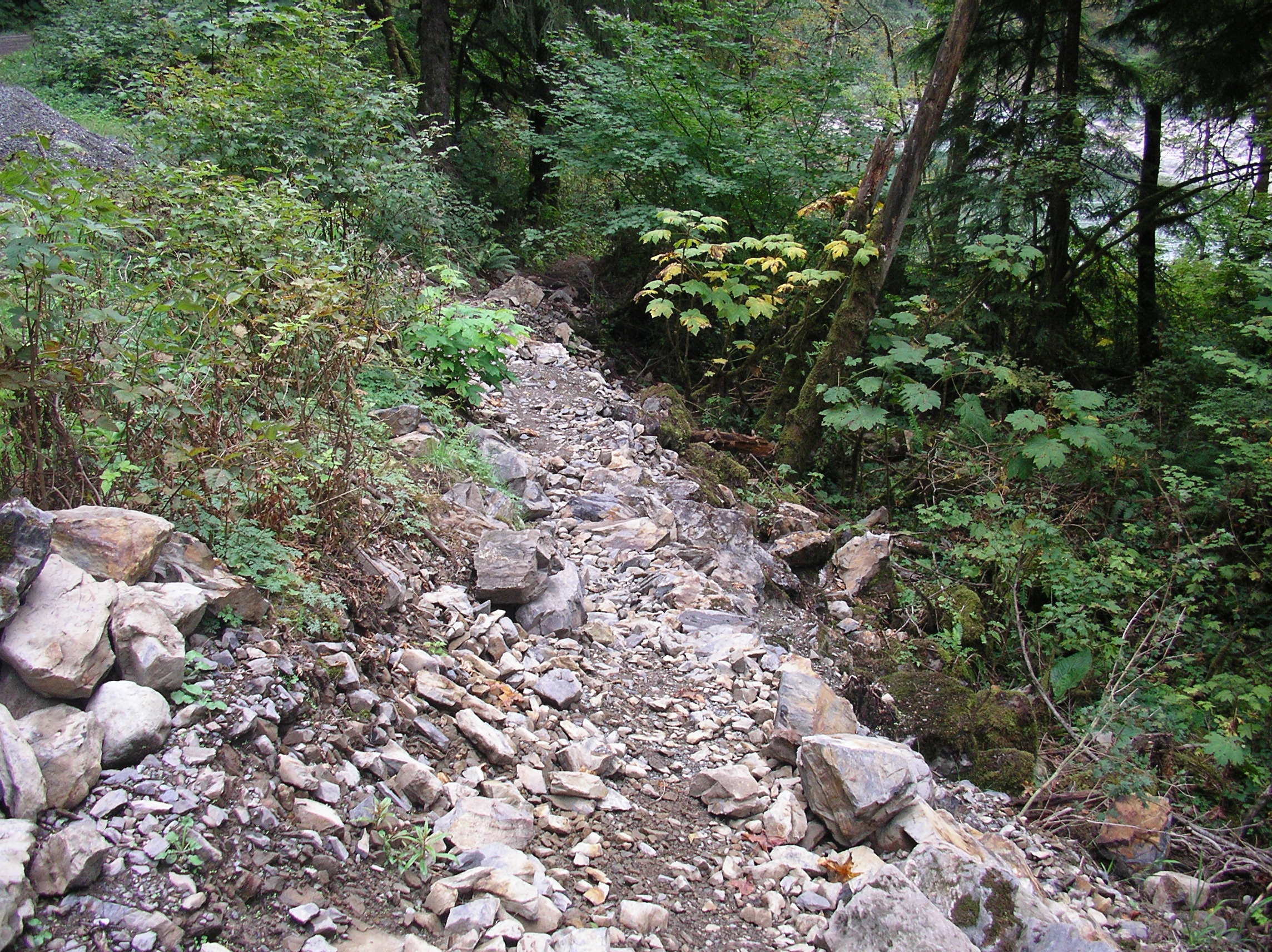 Island Drop Trail, before