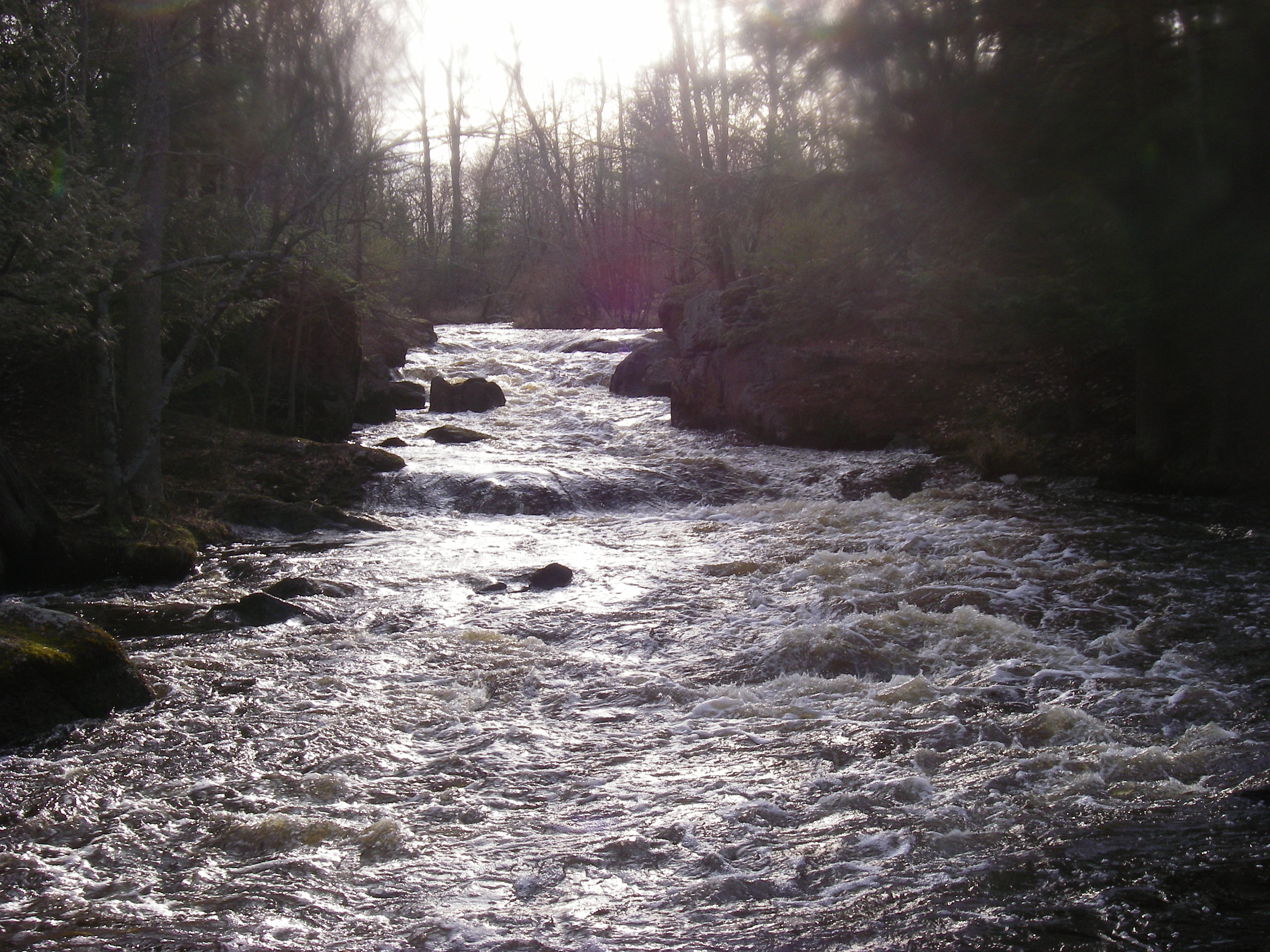 upper dells