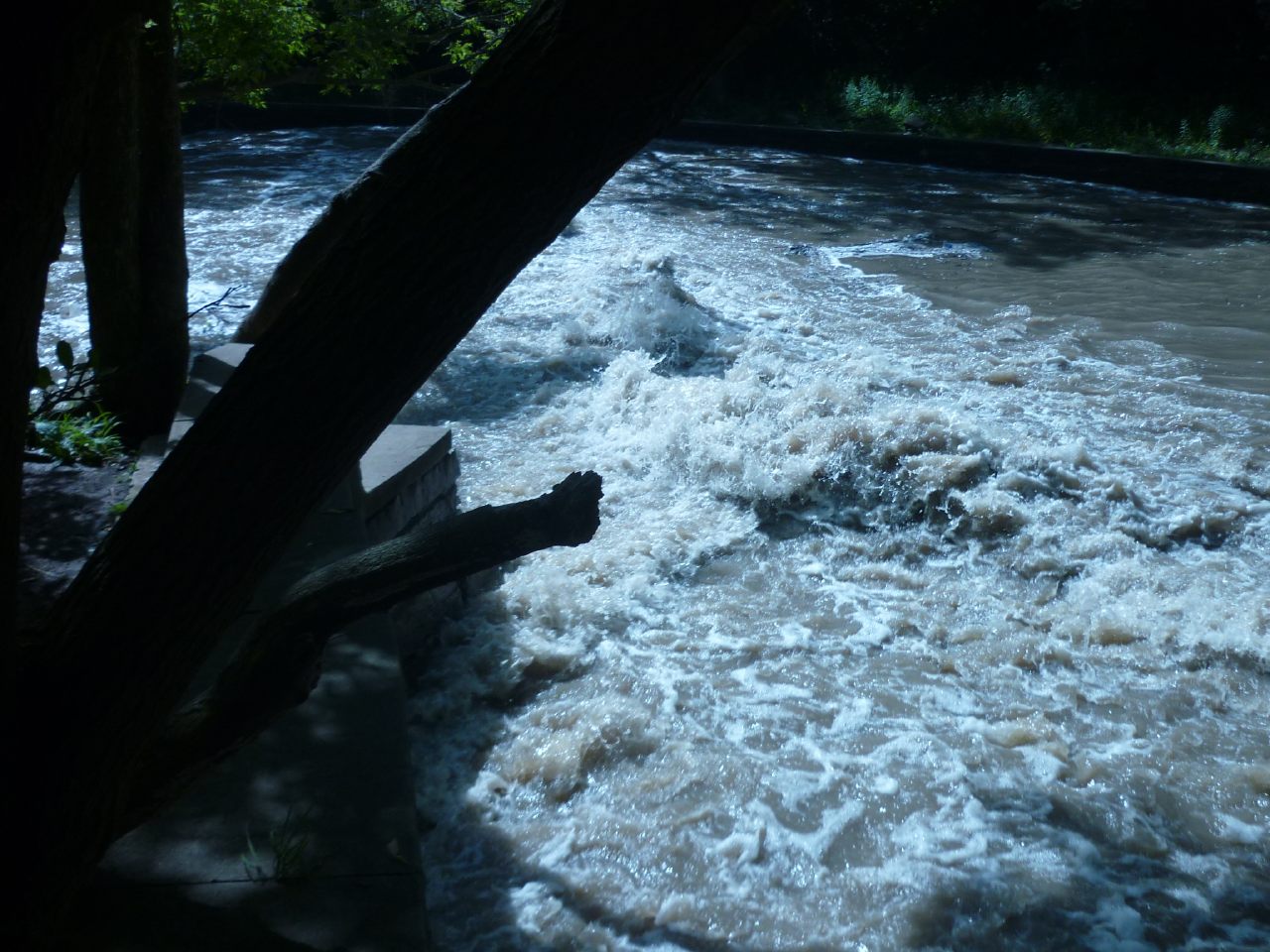 Wave & Pool