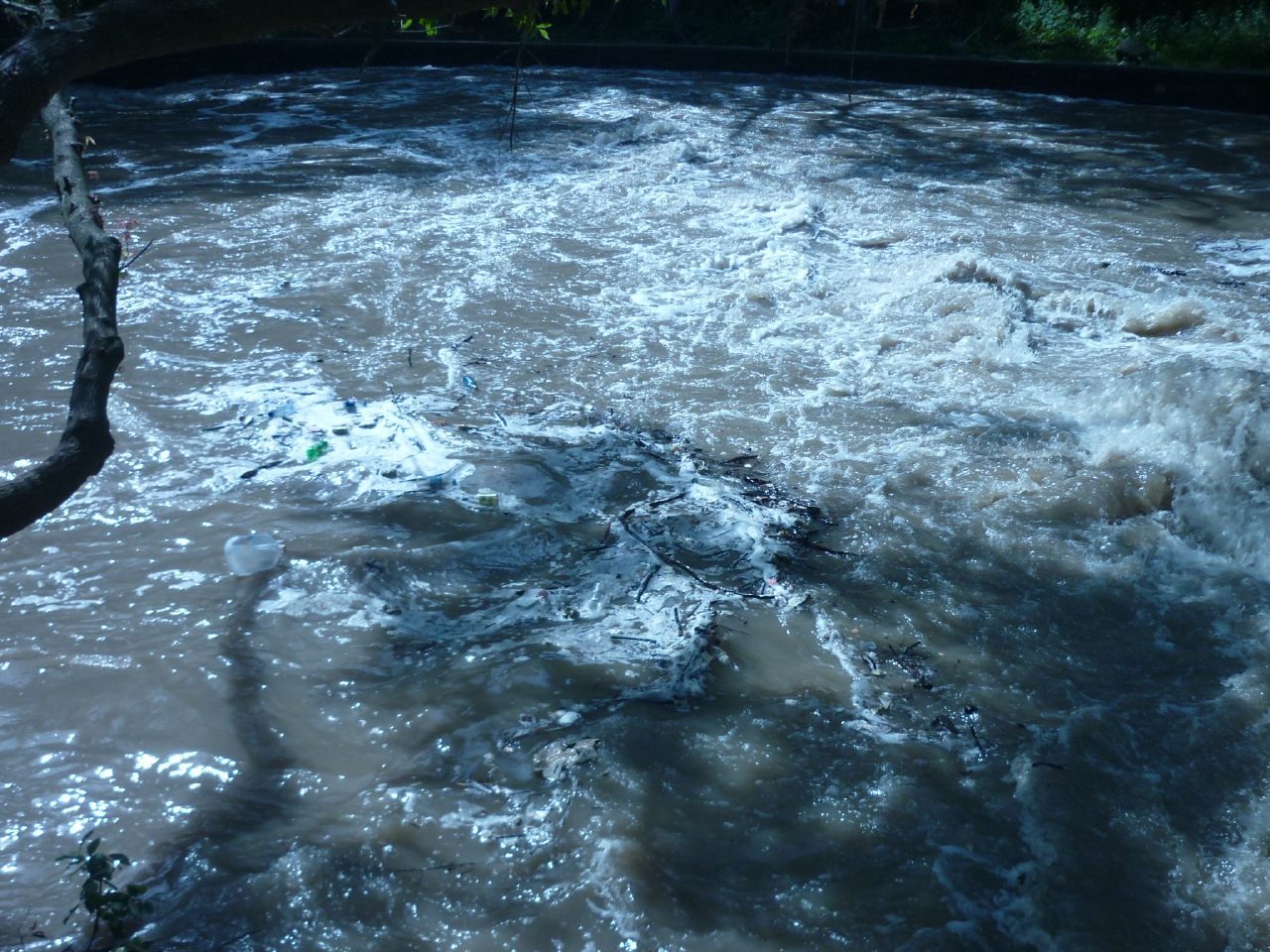 Garbage in the pool.