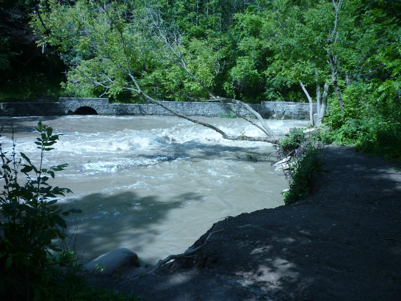 Eroded shore, and view of eddy/pool.
