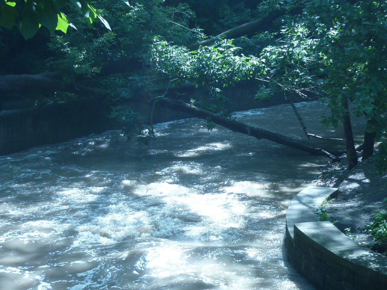 Downstream of 1st Bridge