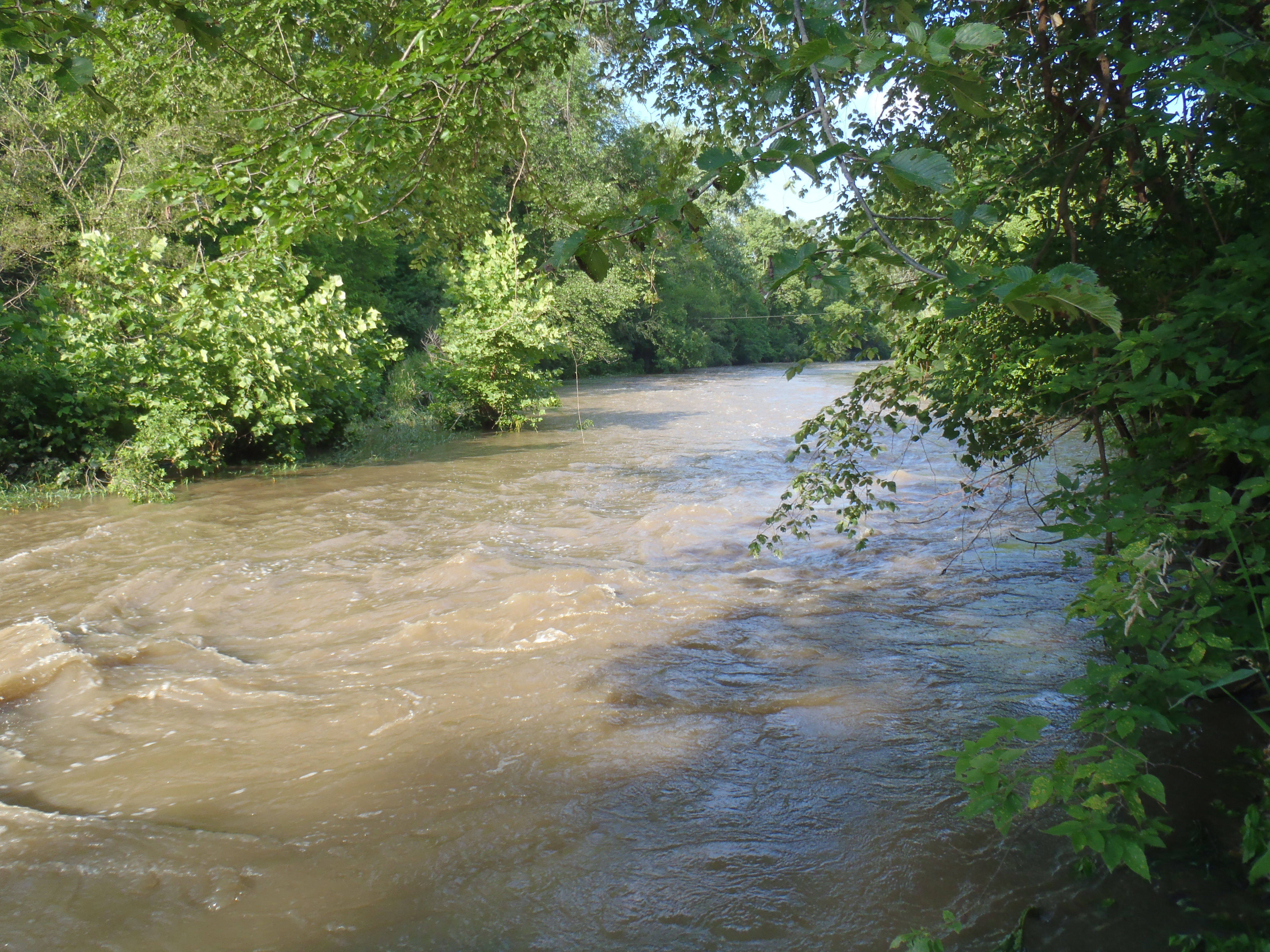 strainer upstream off washington st ~1300cfs, 6/24/10