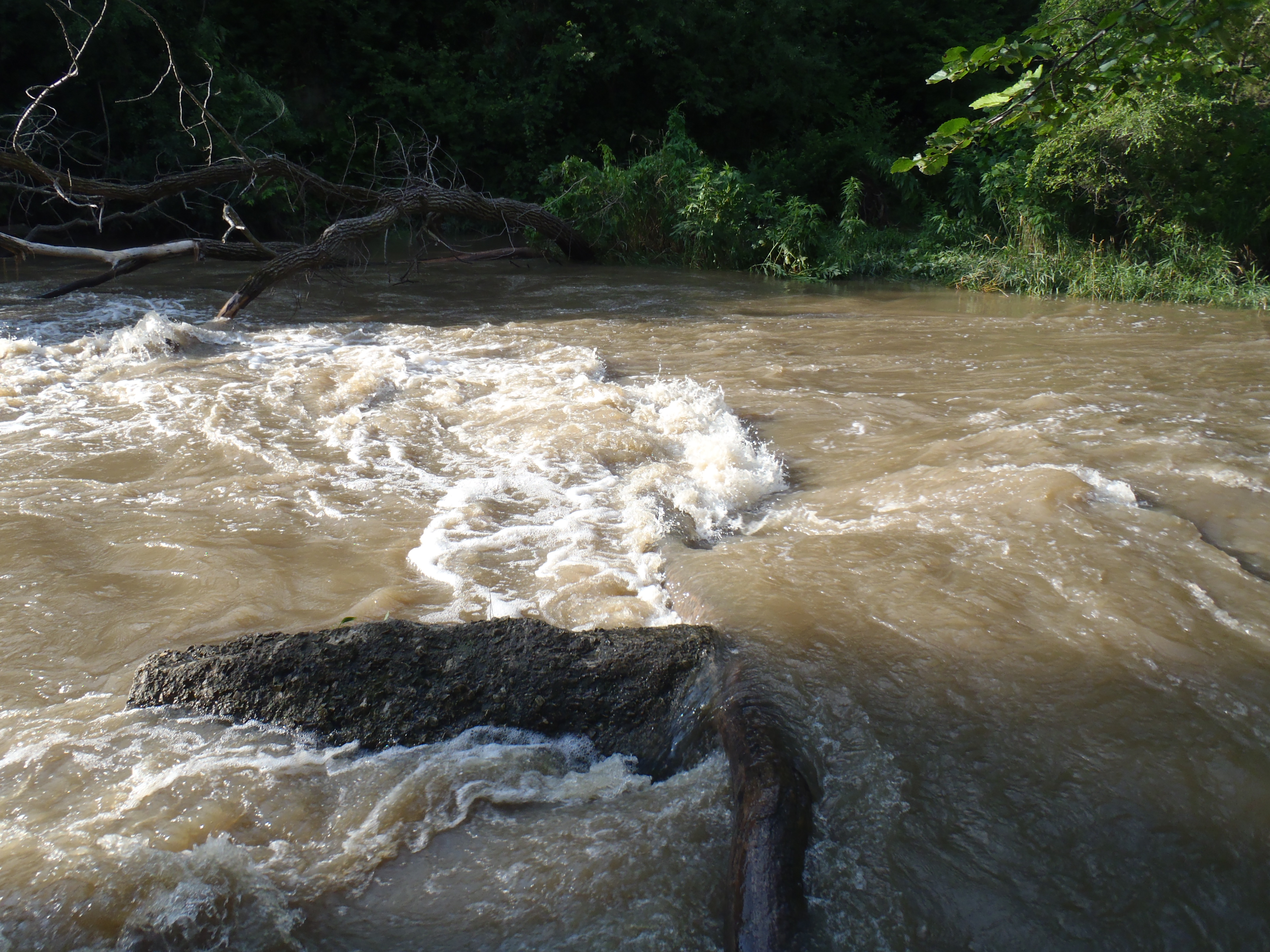 strainer upstream off washington st ~1300cfs, 6/24/10