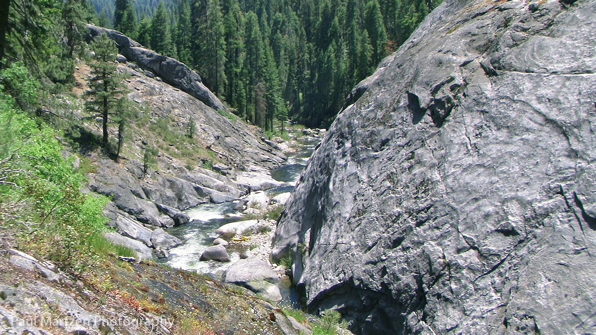 Reach banner