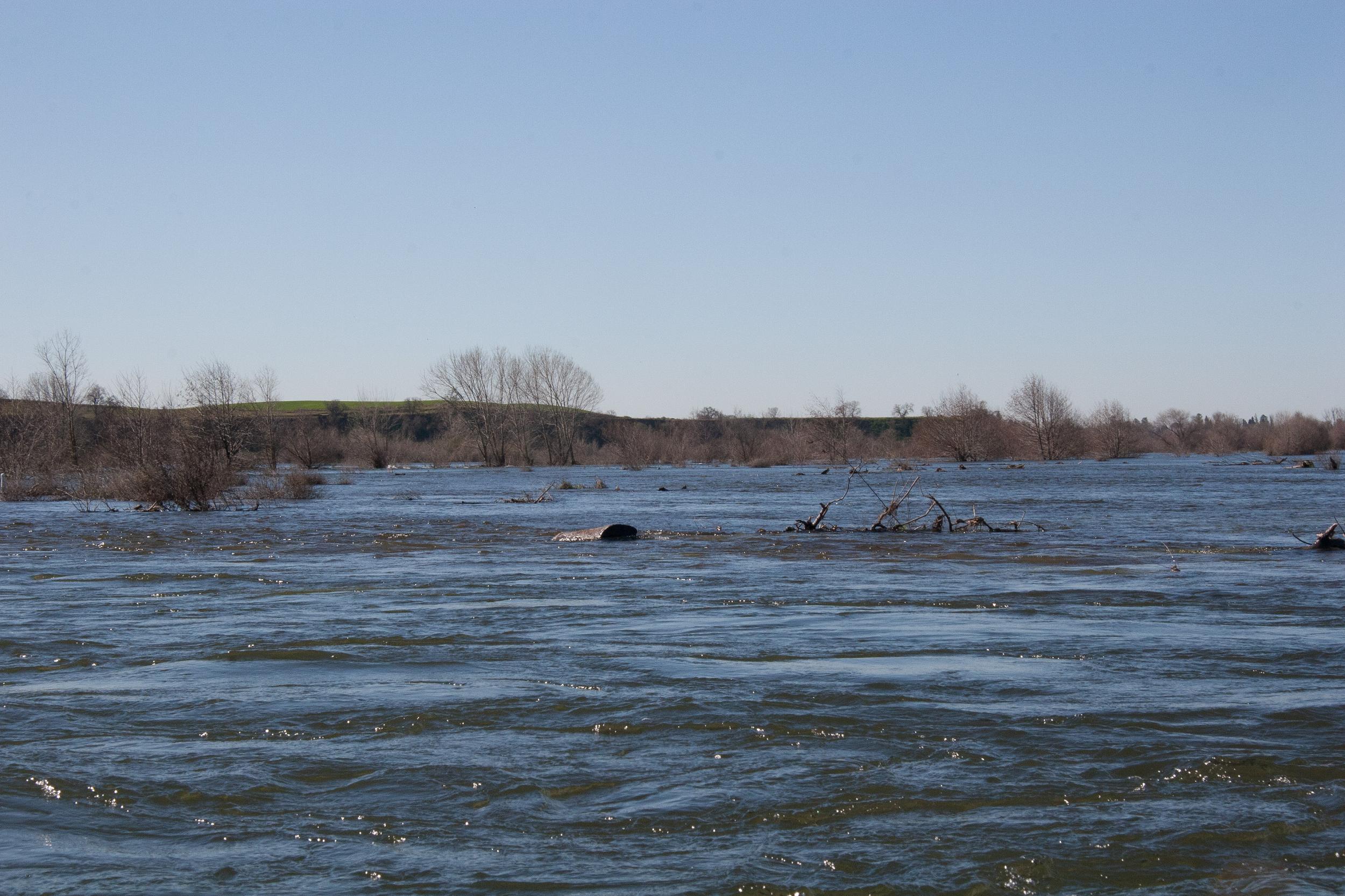 Start of Restoration Area
