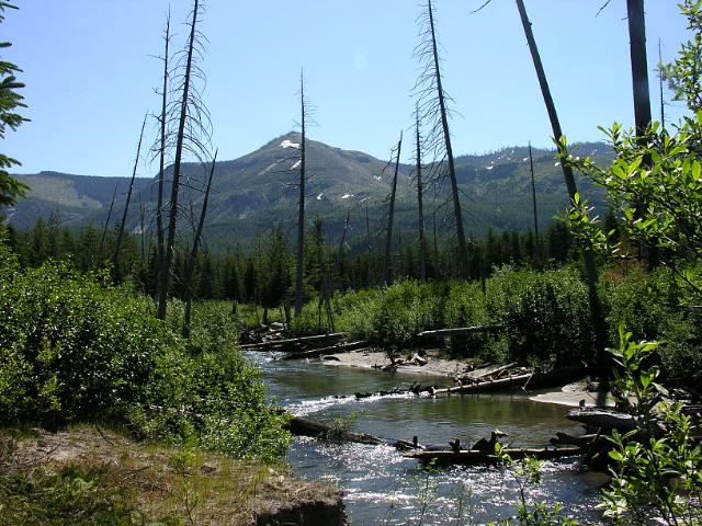 Green River in Mount St Helens Blast Zone