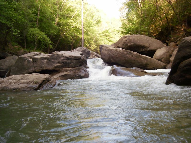 Wonder Rapid