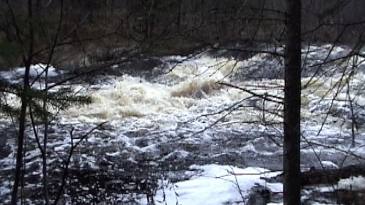 Rapids