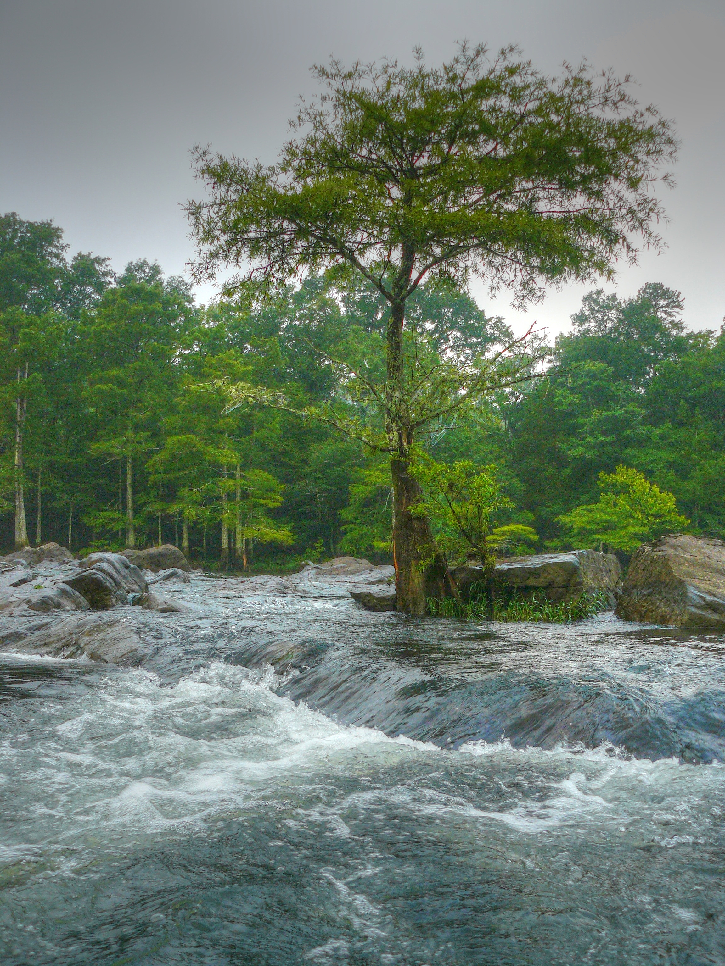 Lower Mt. Fork River Rock Garden