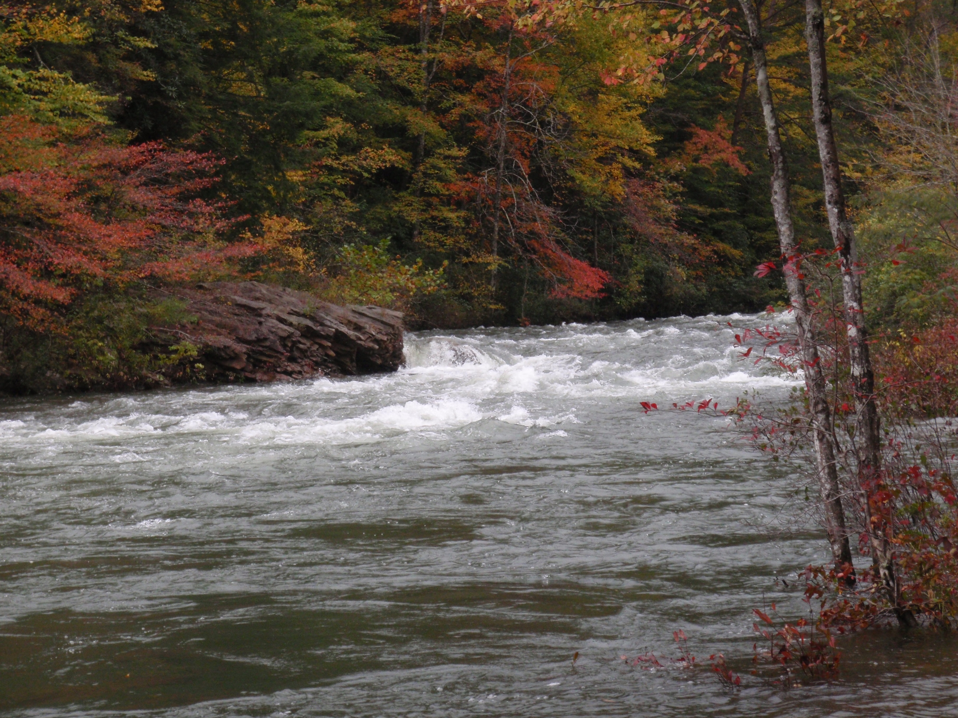 Fall Scenery