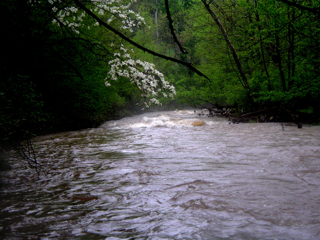 Entrance Rapid