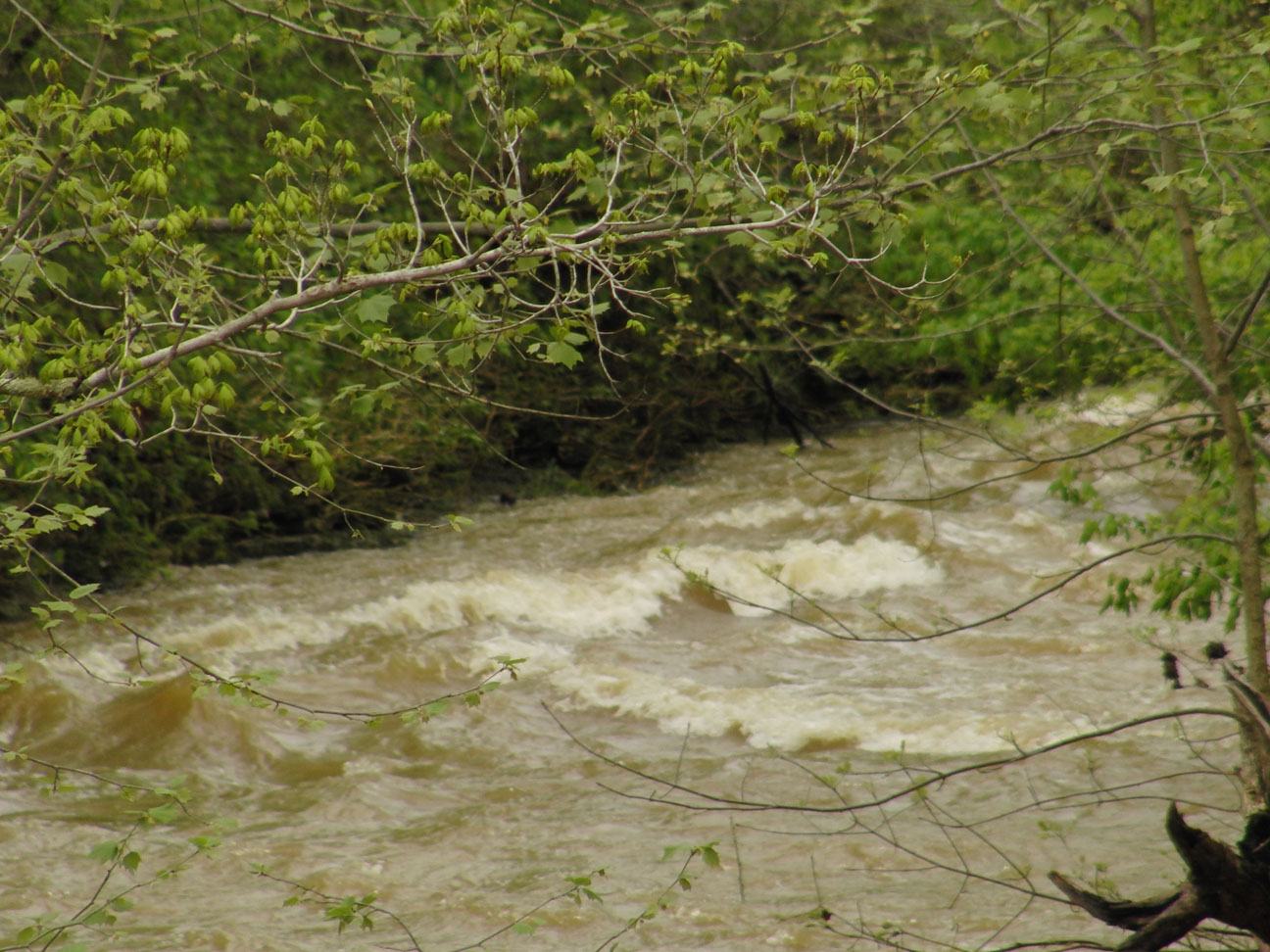 Entrance Rapid at 2.1 feet