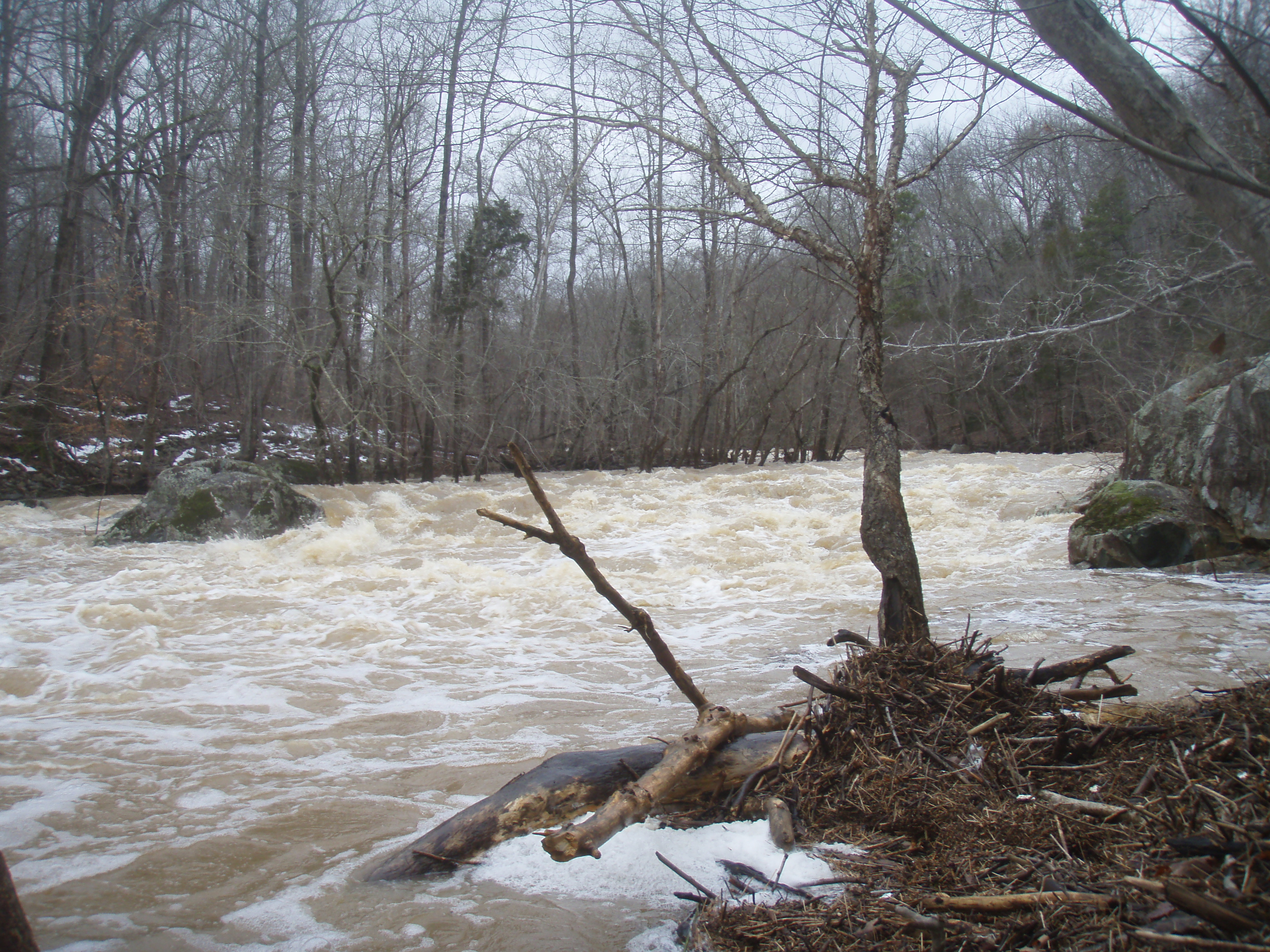 upstream @ 5ft