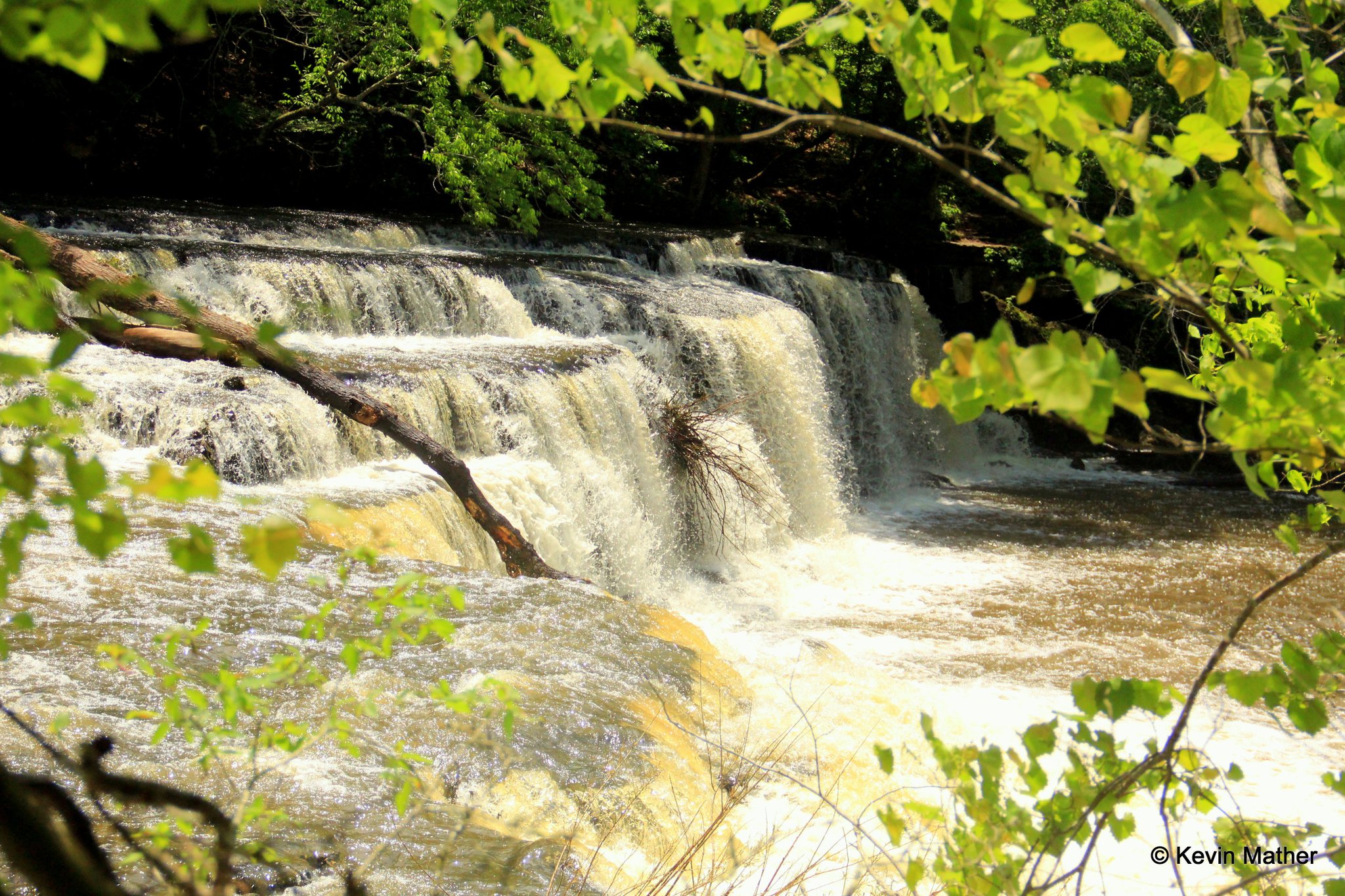 River left of Ape Line