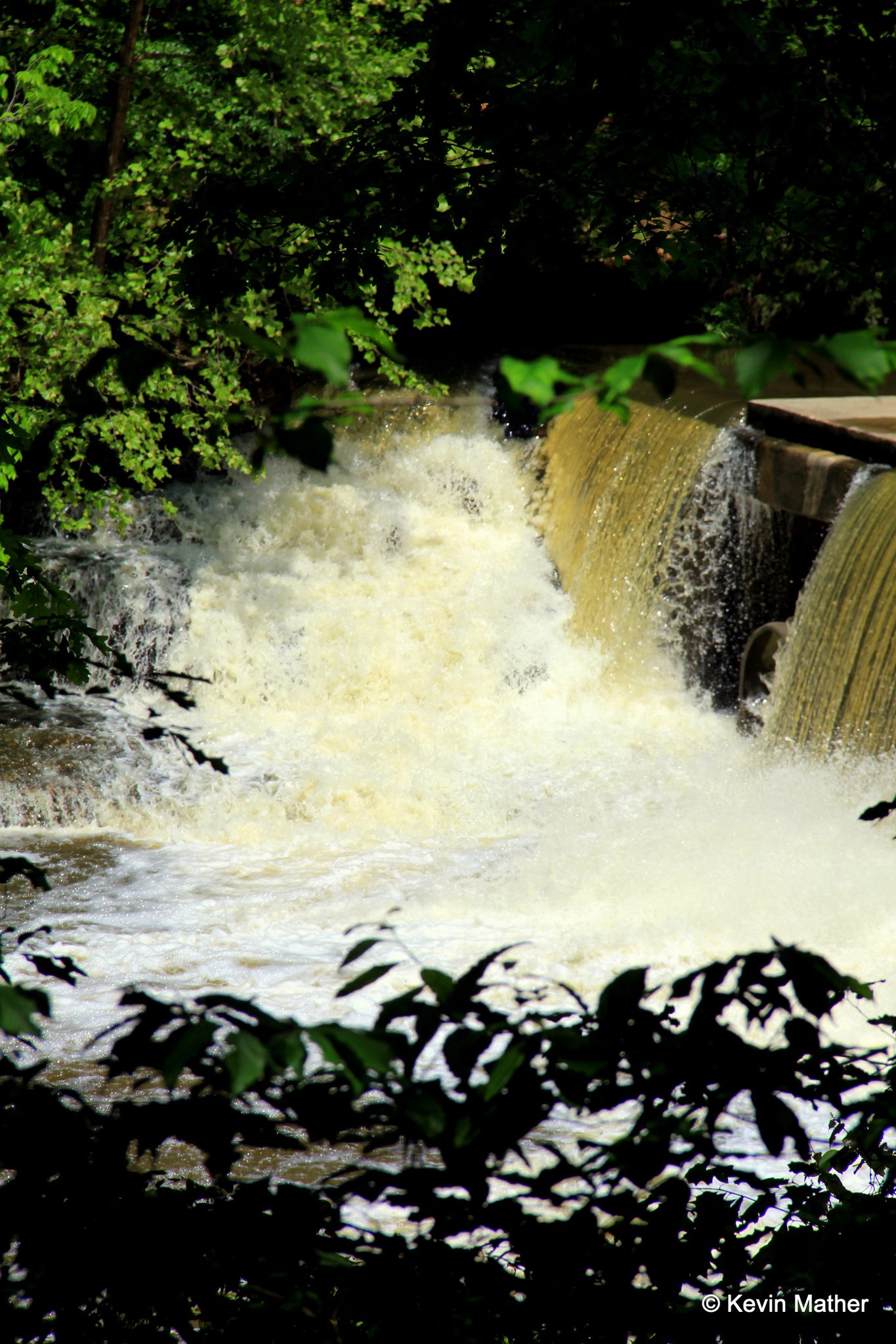 Dam Rapid