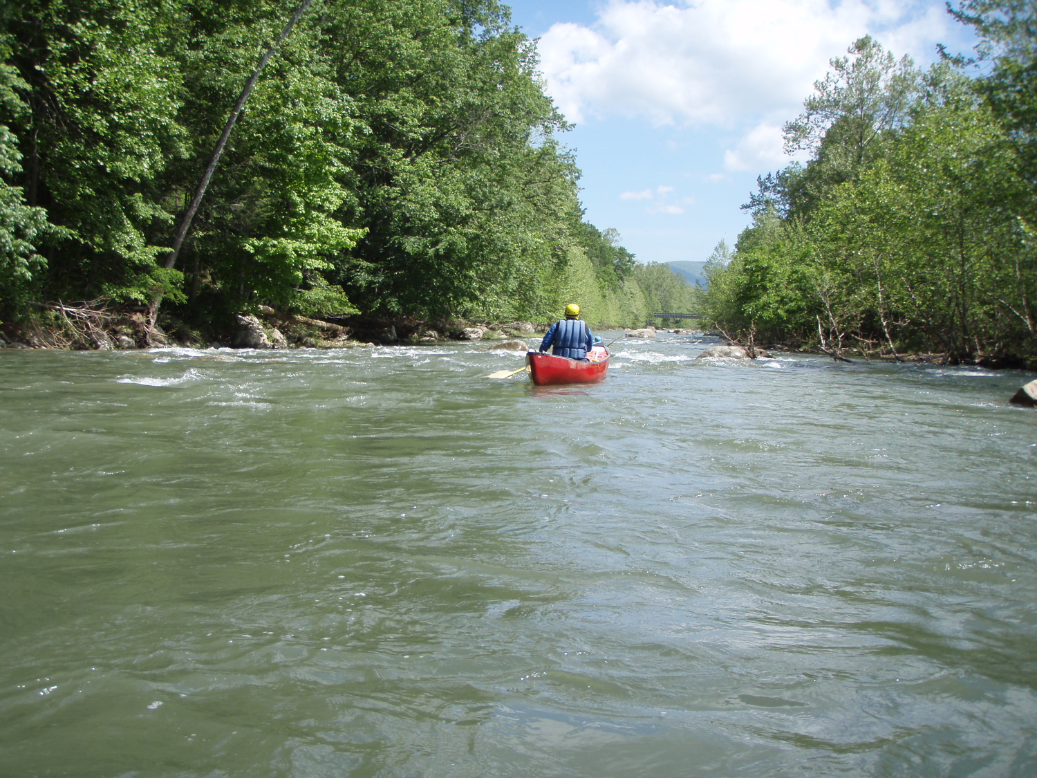 Early stretch of S. Fork, S. Br. Potomac