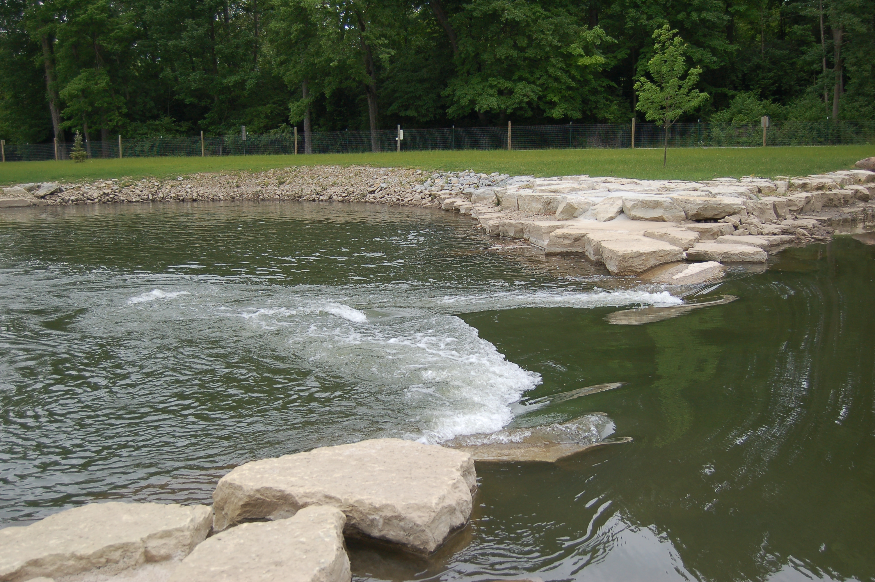 Snyder Park Drop #1
