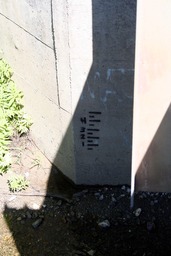 The Gauge