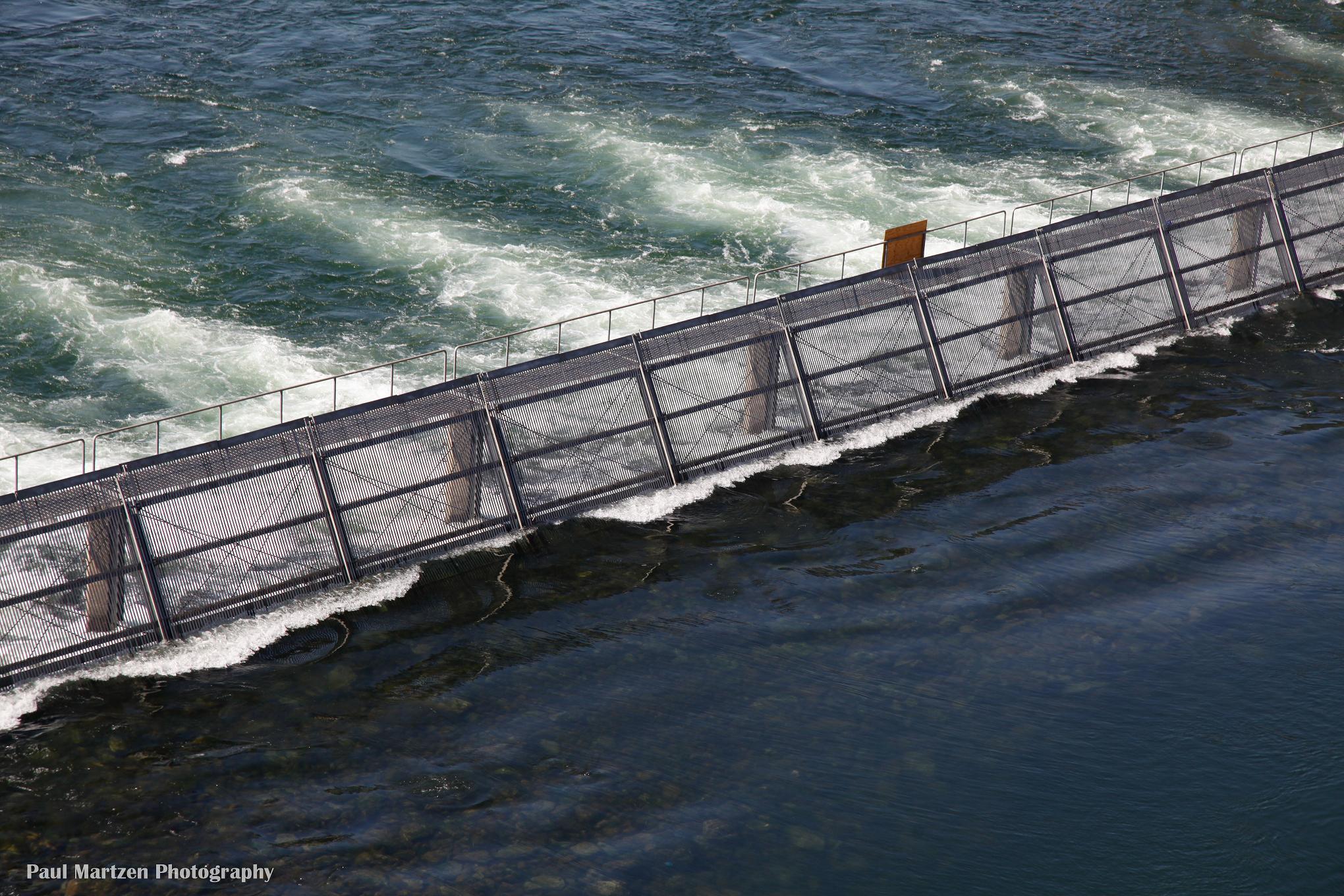 Fish Barrier