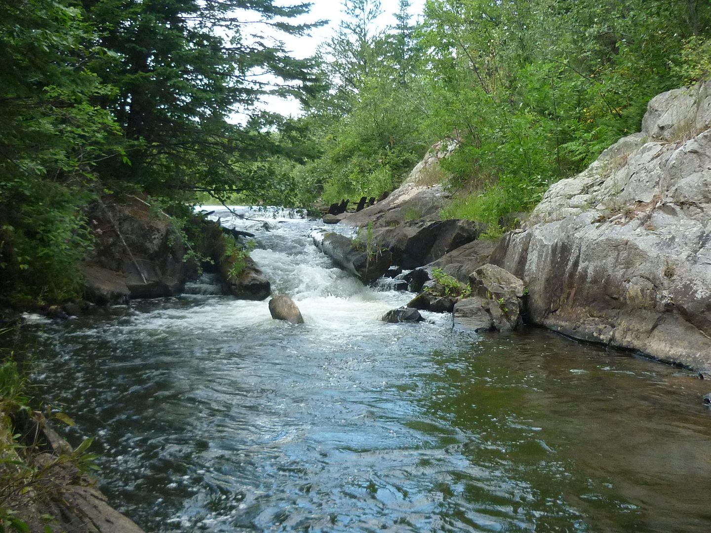 Carney Rapids, from river level