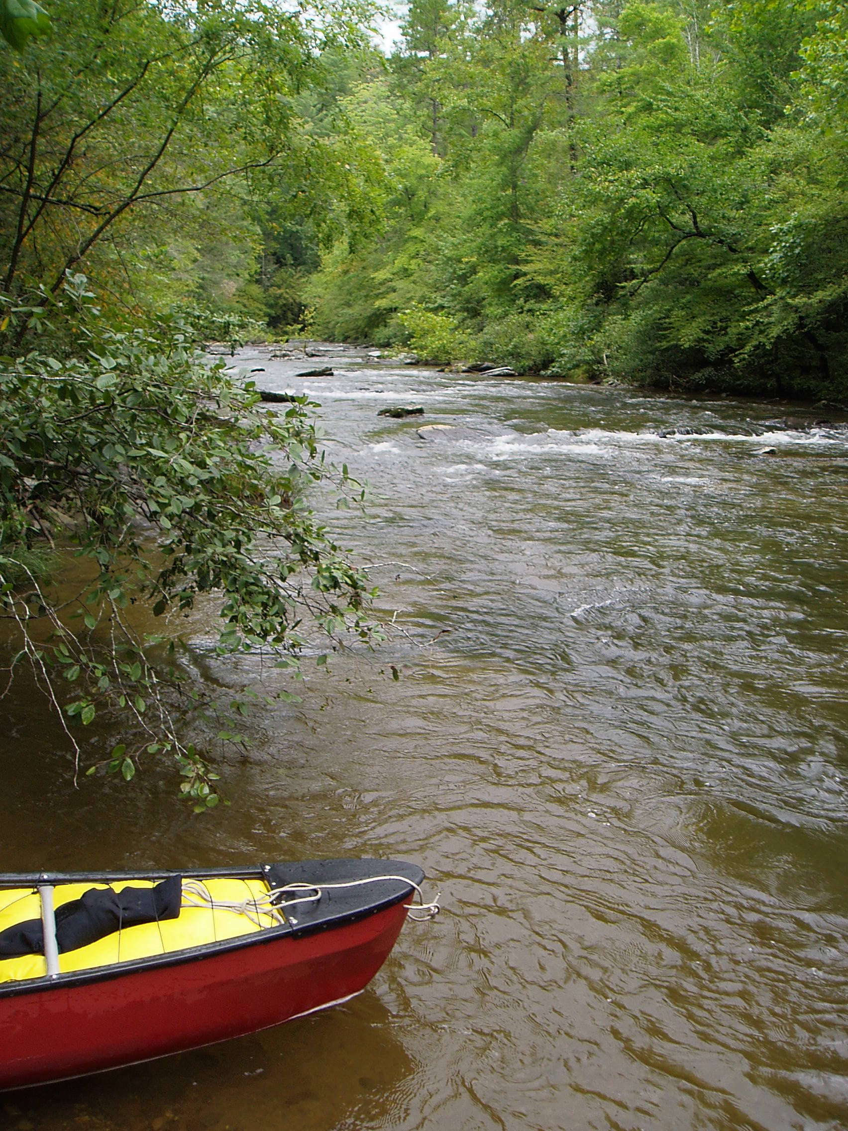 Typical rapid at 2.2 feet