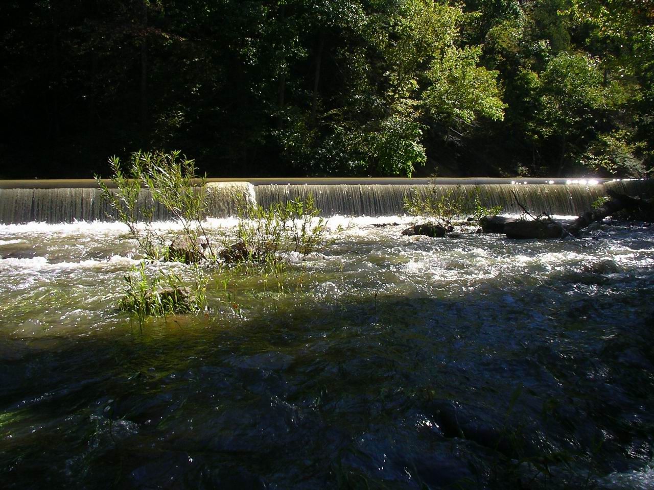 The dam