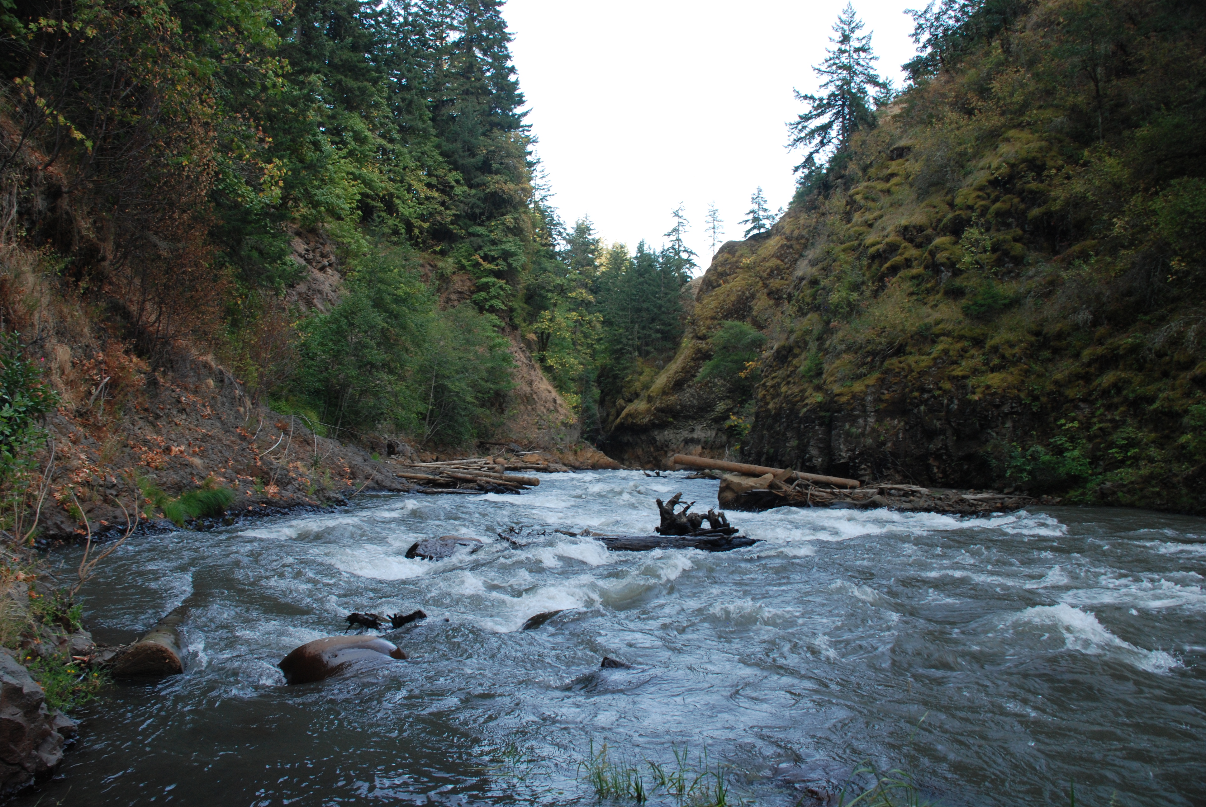 Steelhead Falls