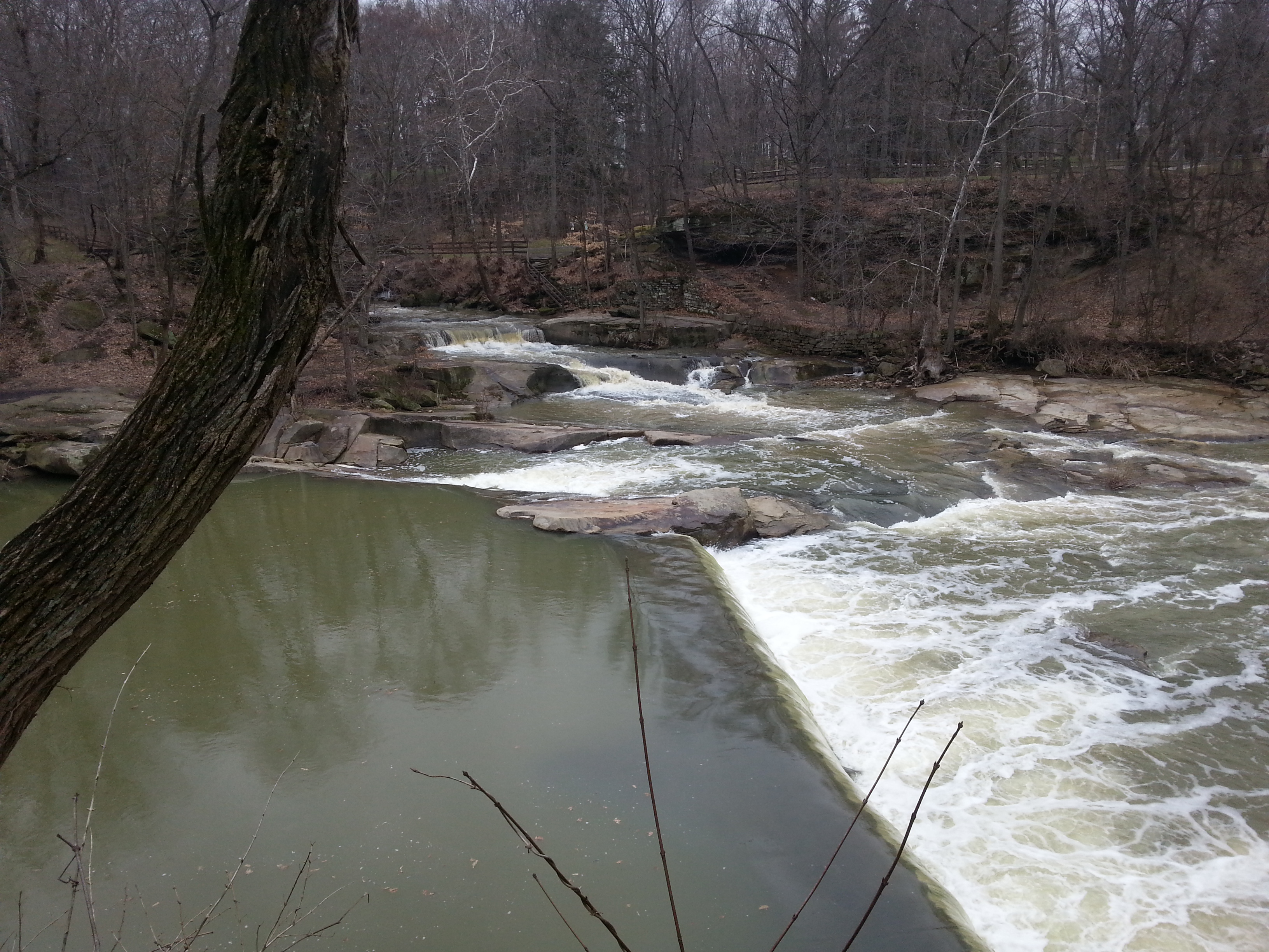 Second Dam