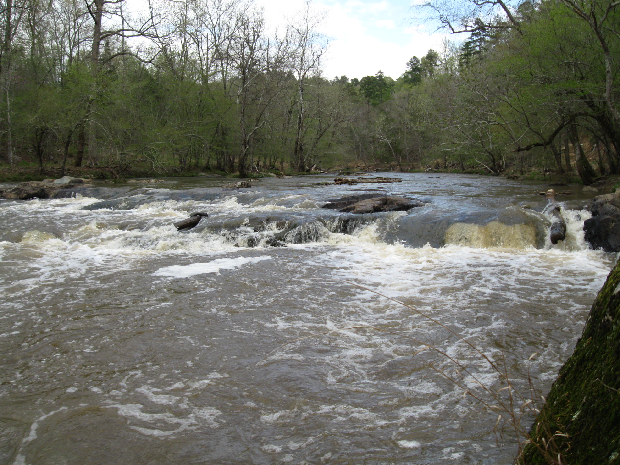 Upper rapid@ Cabe's Ford Ledge