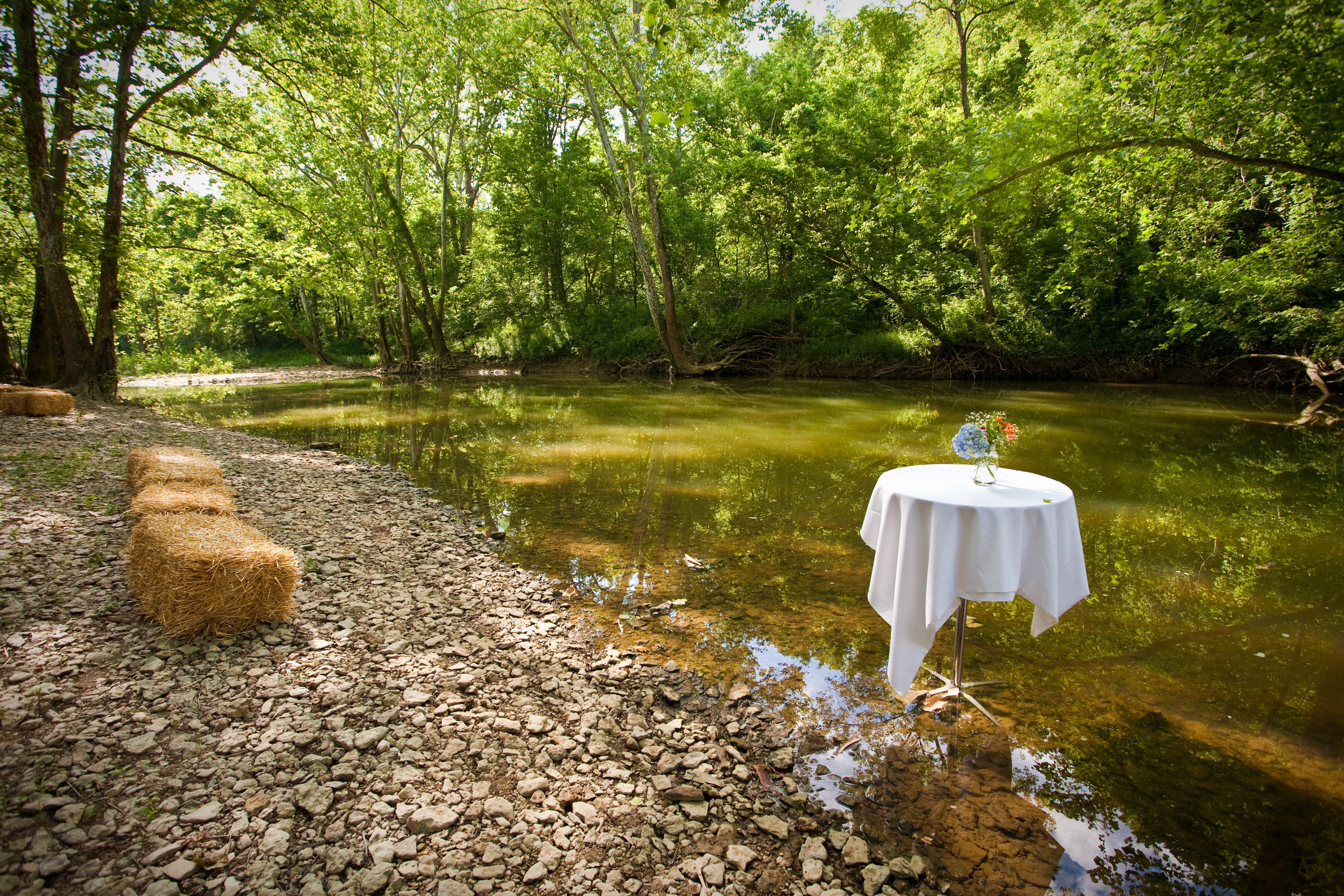 Cocktail Party on the Fork