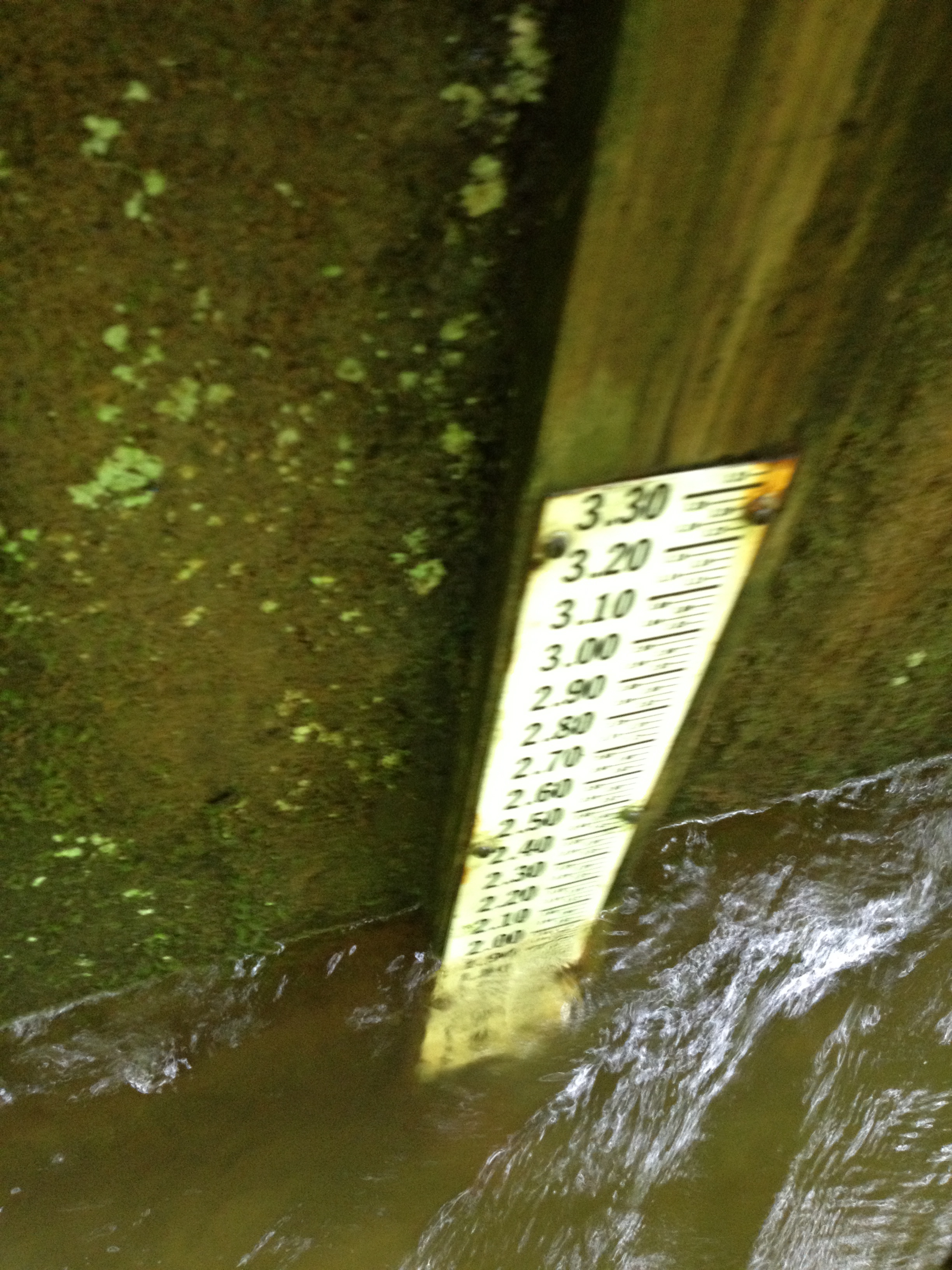 Visual Gauge