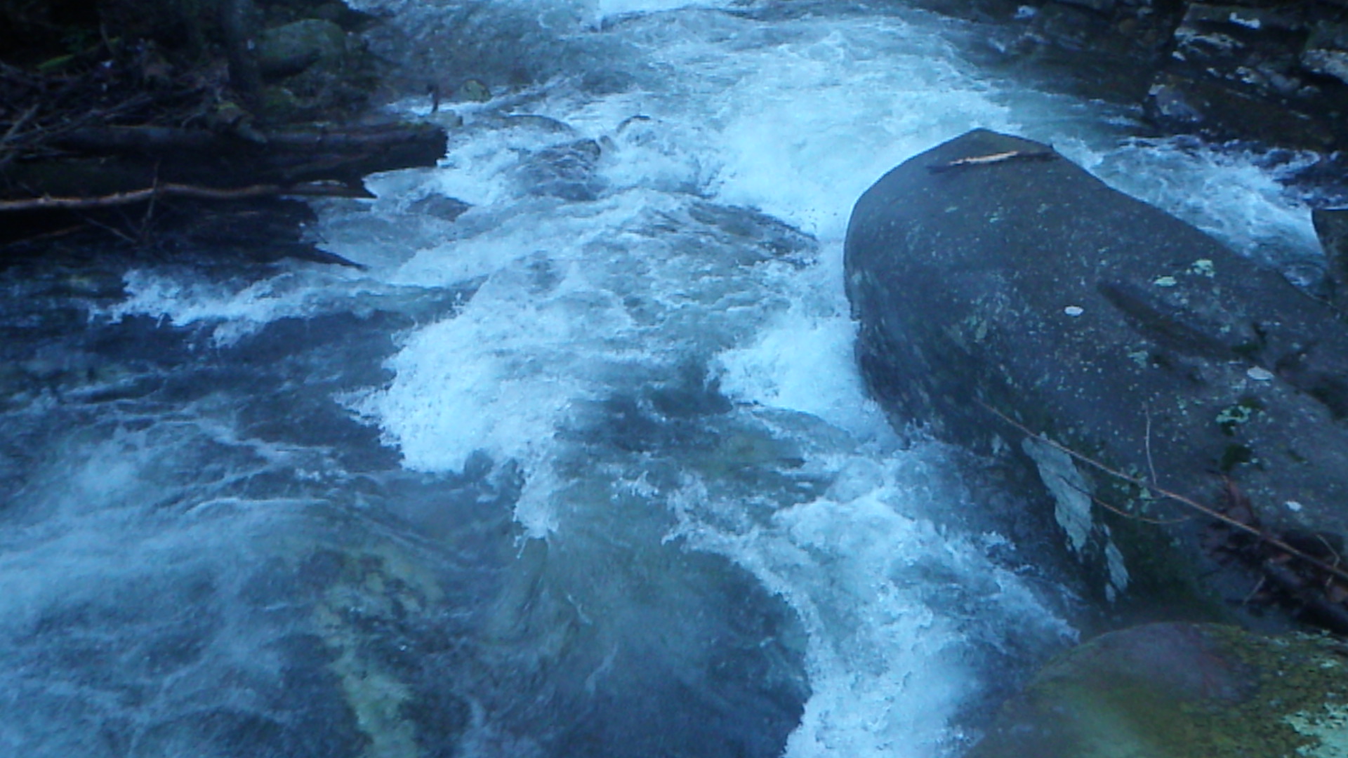 Below Log Jam