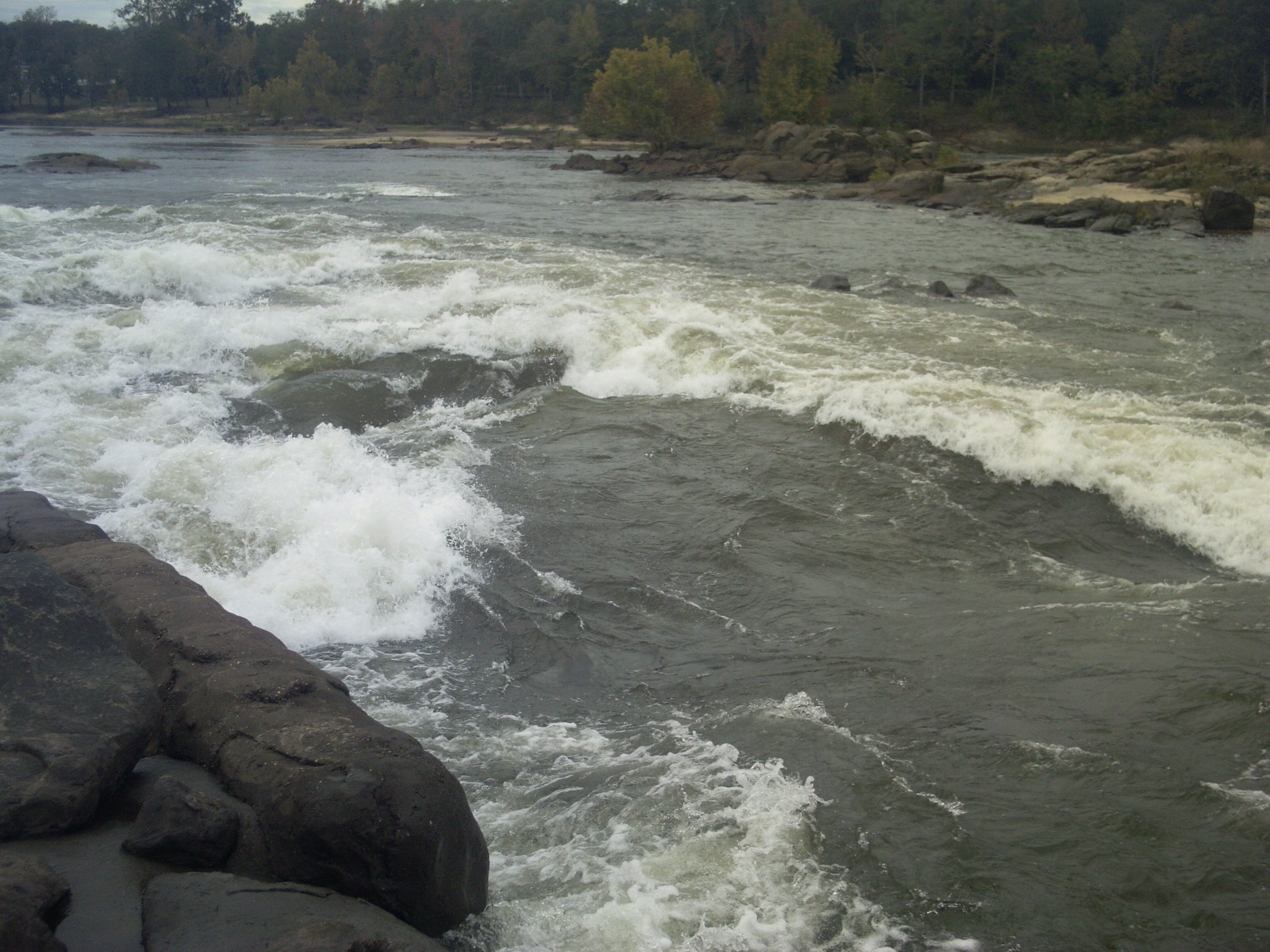 Wave Shaper Rapid